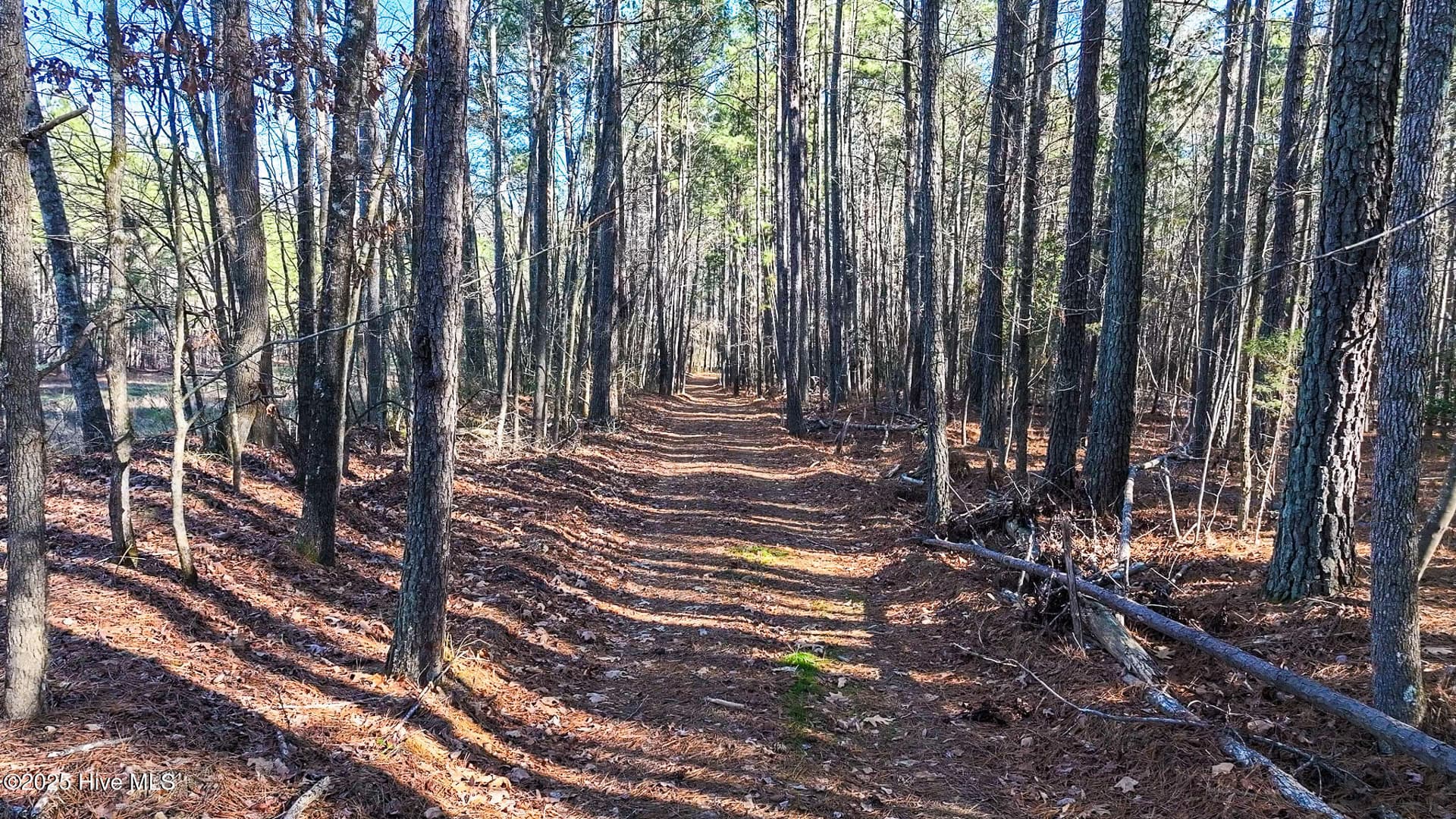 Undeveloped at Off 5 J B Morgan Road, Apex, NC 27502, photo 19 of 21
