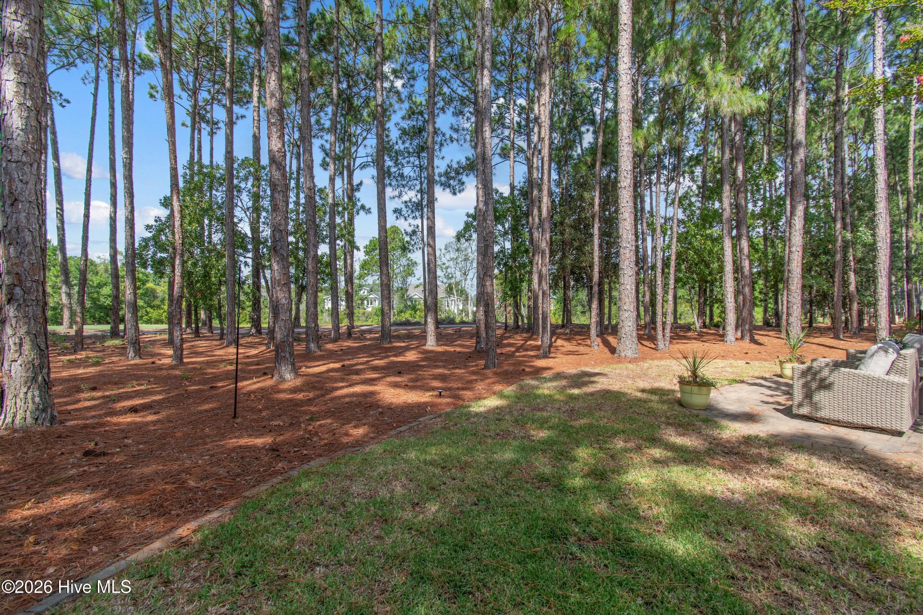 Single Family Residence at 3807 Ridge Crest Drive, Southport, NC 28461, photo 66 of 112