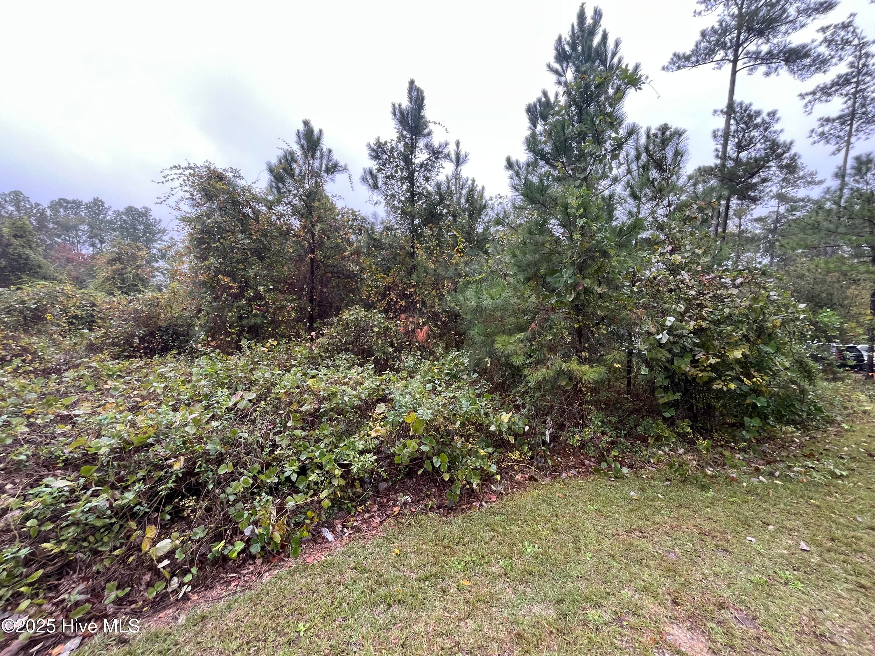 Unimproved Land at 105 Medical Circle, Rockingham, NC 28379, photo 3 of 7