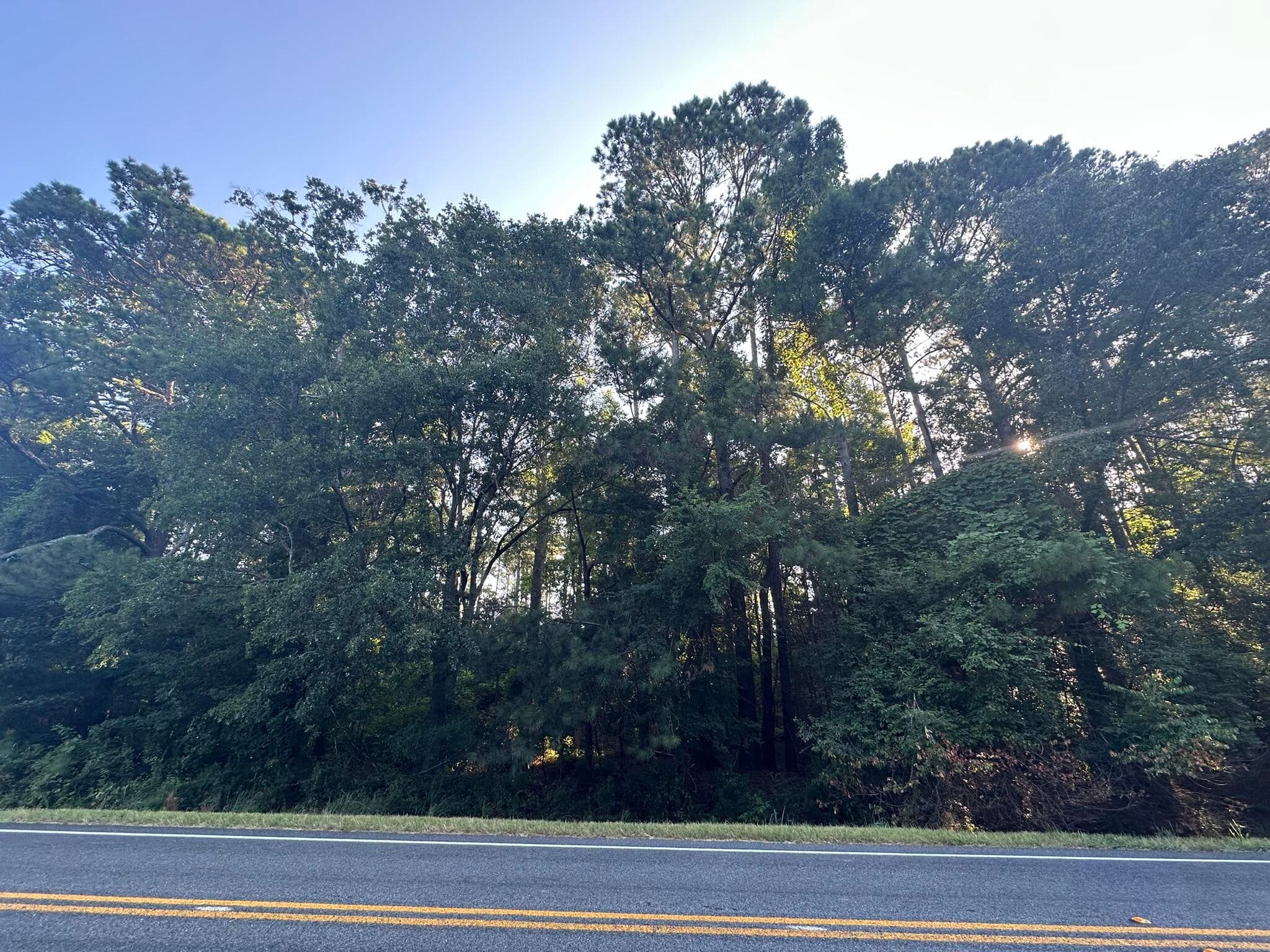 Lot 3a 3A Elberton Highway, Lincolnton, GA 30817