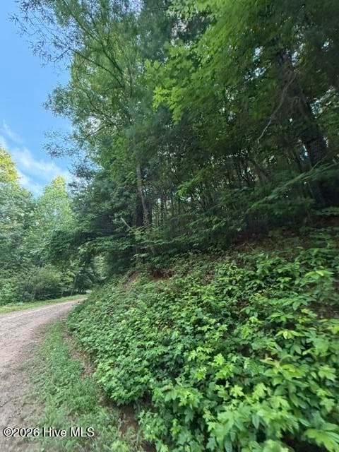 Undeveloped at Lot 59 Quiet Mountain Trail, Murphy, NC 28906, photo 6 of 10