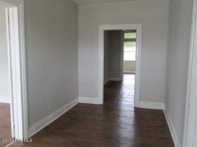 Single Family Residence at 1631 Fenwick Street, Augusta, GA 30904, photo 4 of 15