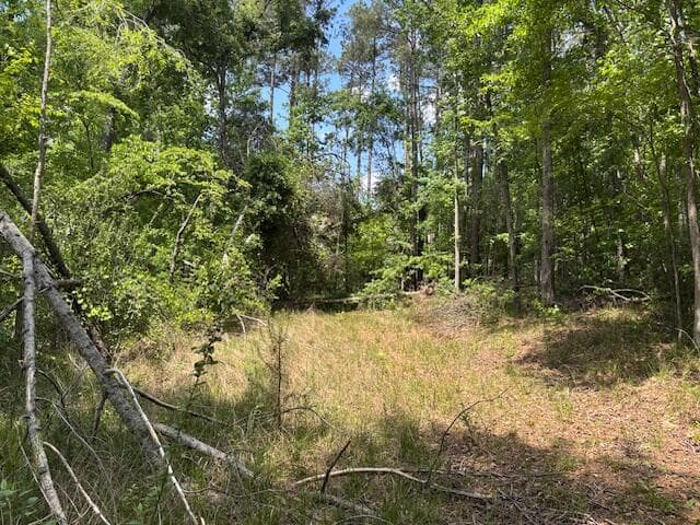 Residential Lot at 2064 Glenn, Grovetown, GA 30813, photo 2 of 12