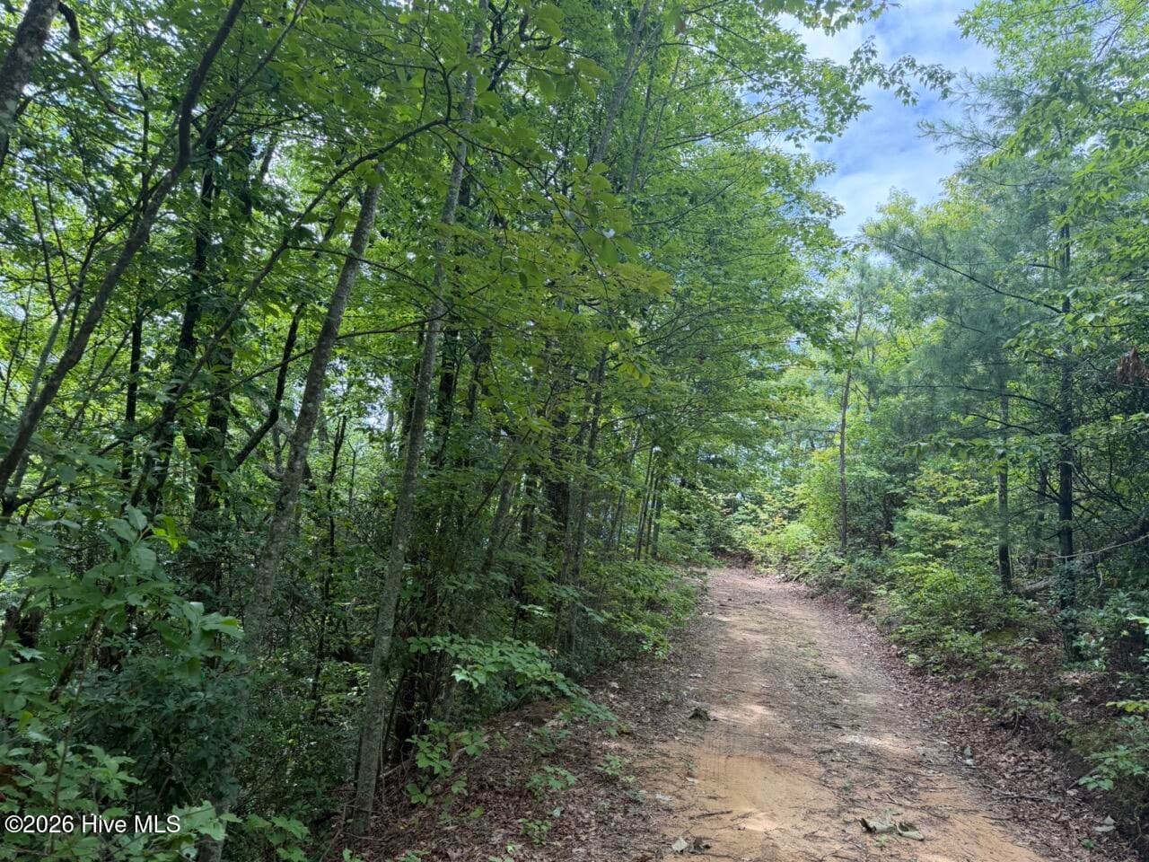 Undeveloped at 760 Cliff Top Trail, Andrews, NC 28901, photo 6 of 14