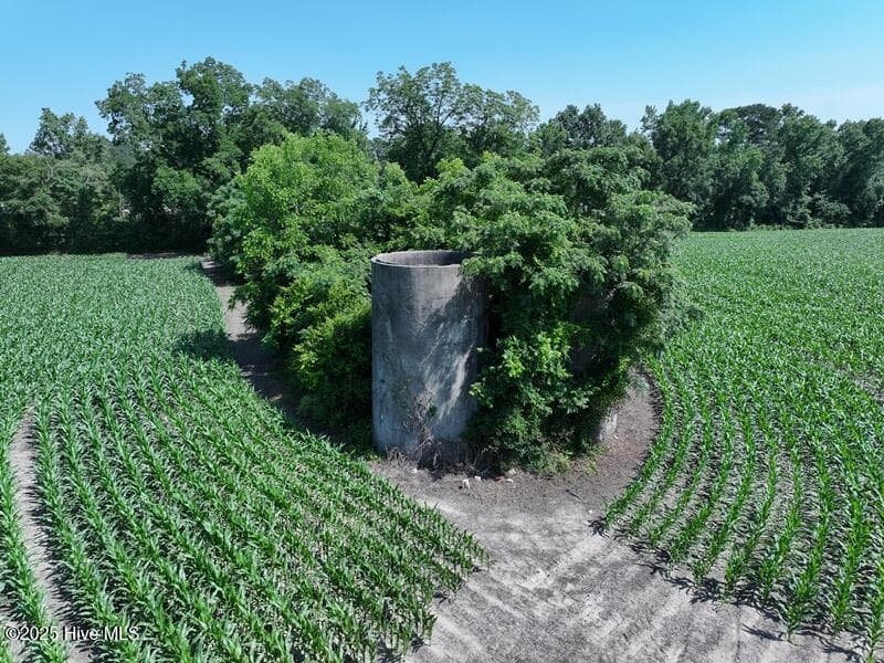 Agriculture at Tbd Highway 71, Red Springs, NC 28377, photo 8 of 17