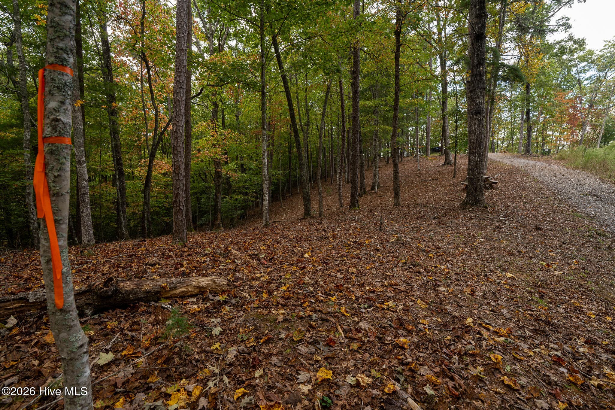 Wooded at Lot 22 Morris Ridge Drive, Murphy, NC 28906, photo 16 of 23