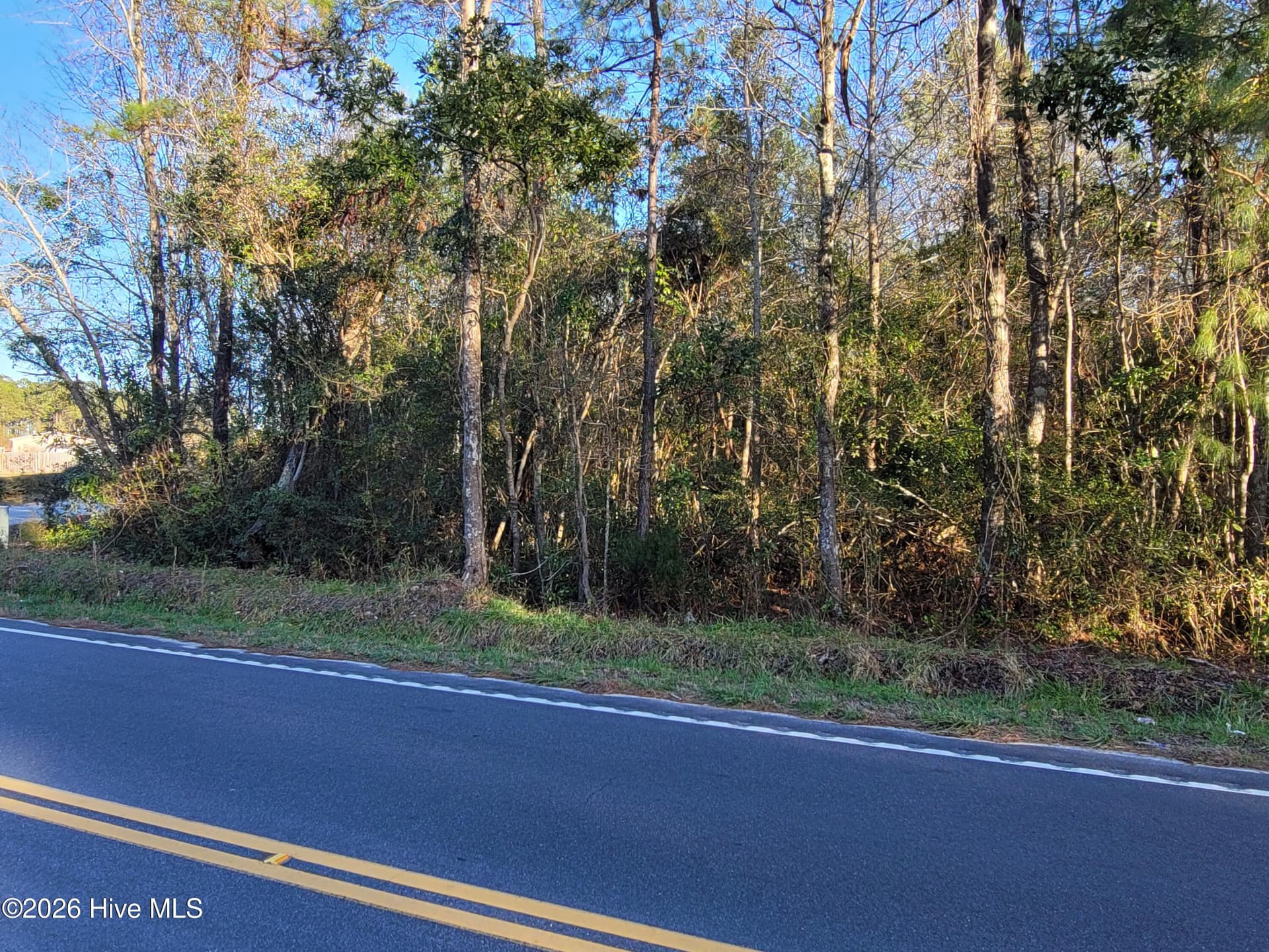 Tbd Lot 1 1 Auburn Drive, Loris, SC 29569