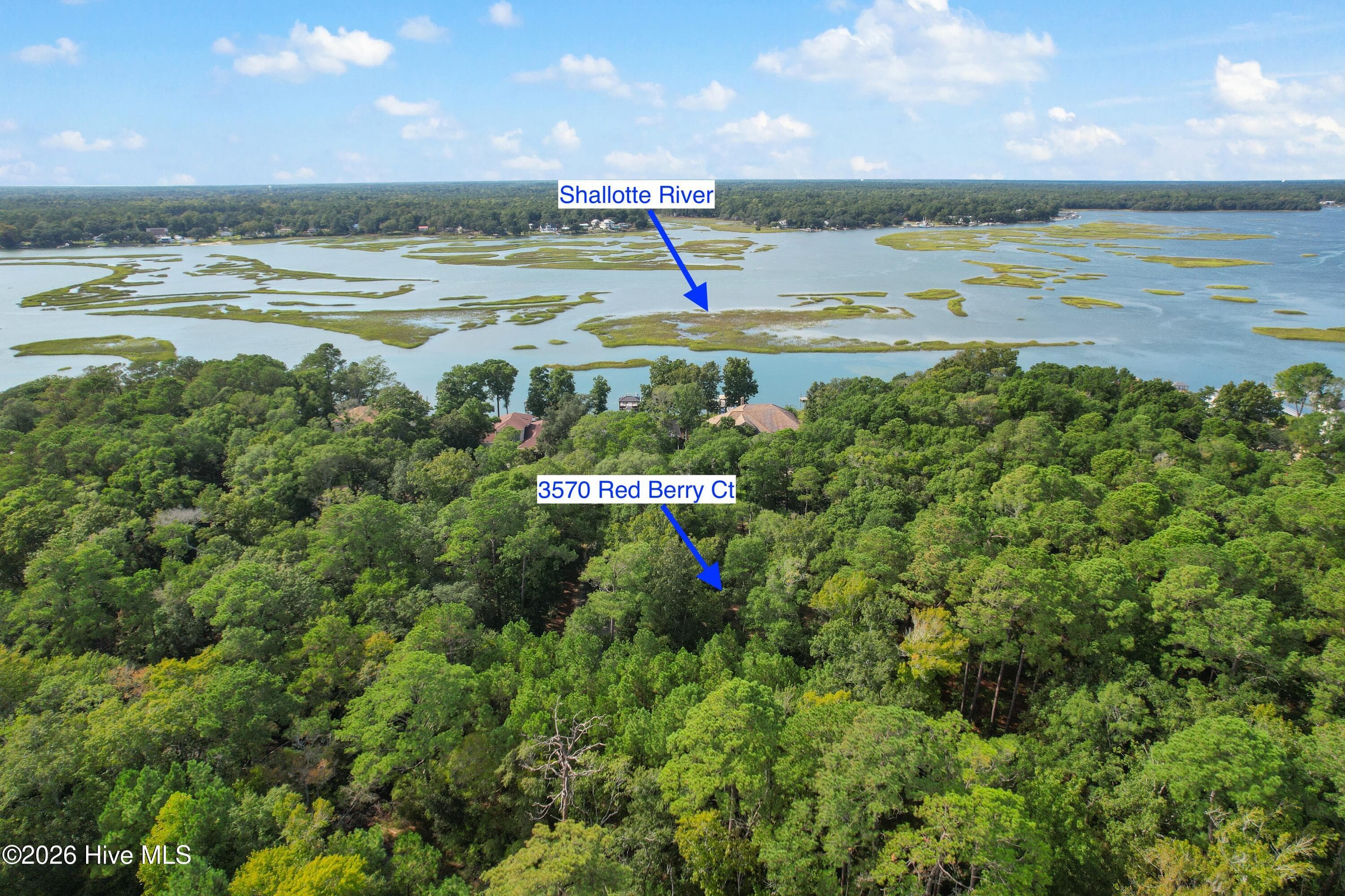 Residential Lot at 3570 15 & 16 Red Berry Court SW, Supply, NC 28462, photo 5 of 14