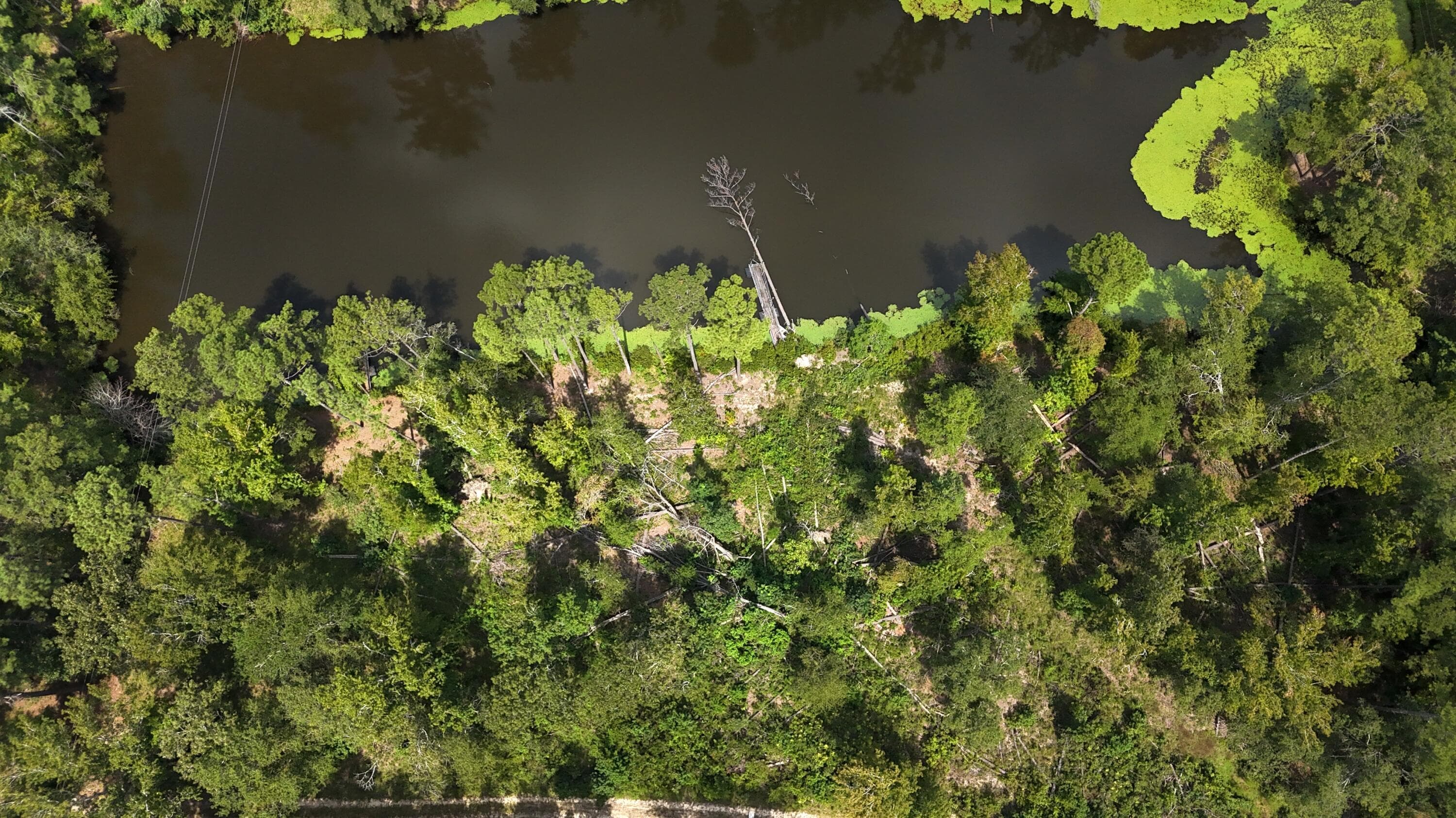 Residential Lot at 0 Hummingbird Drive, Trenton, SC 29847, photo 9 of 14