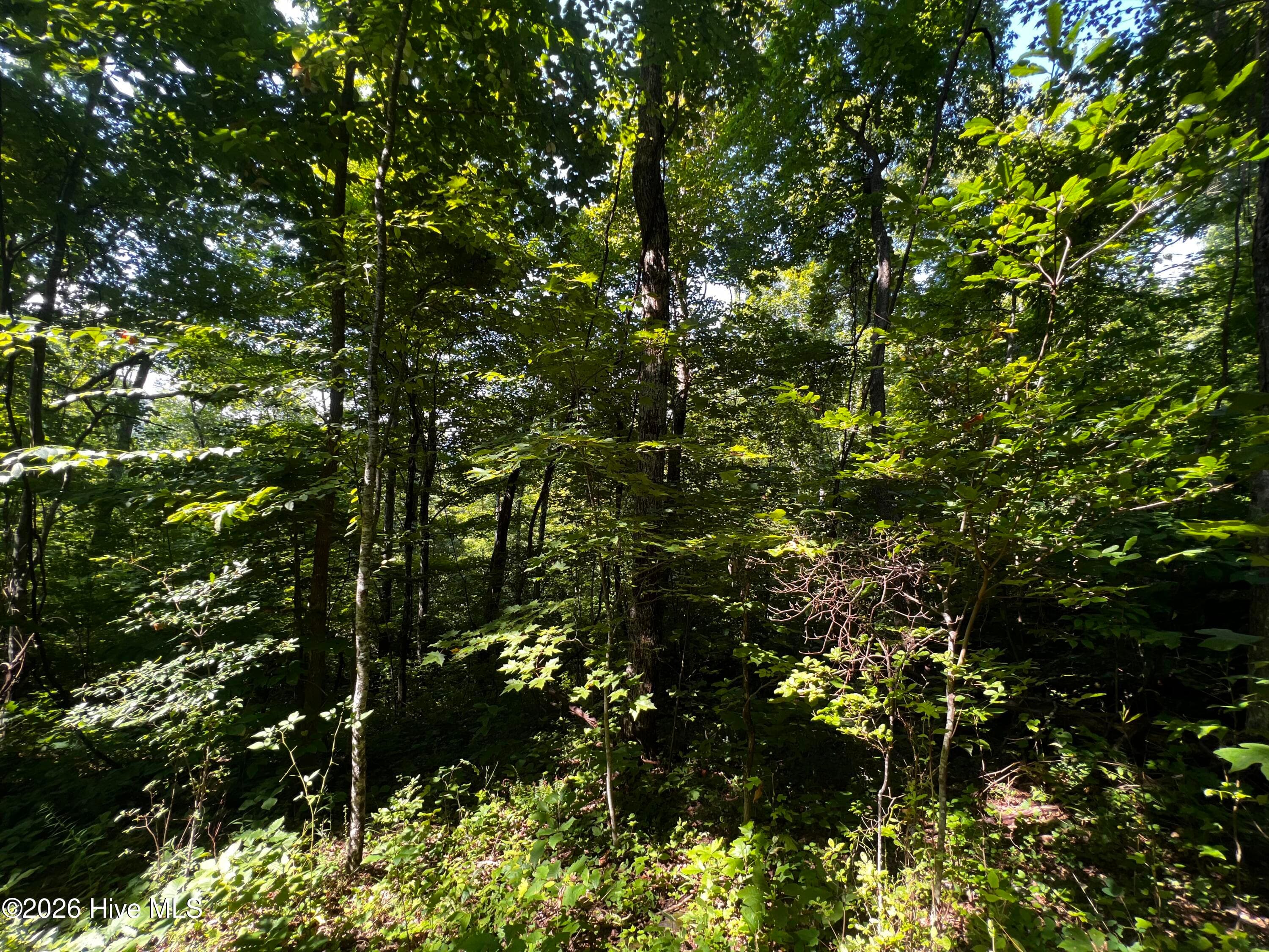 Wooded at 00 Kenneths Cove, Topton, NC 28781, photo 2 of 2