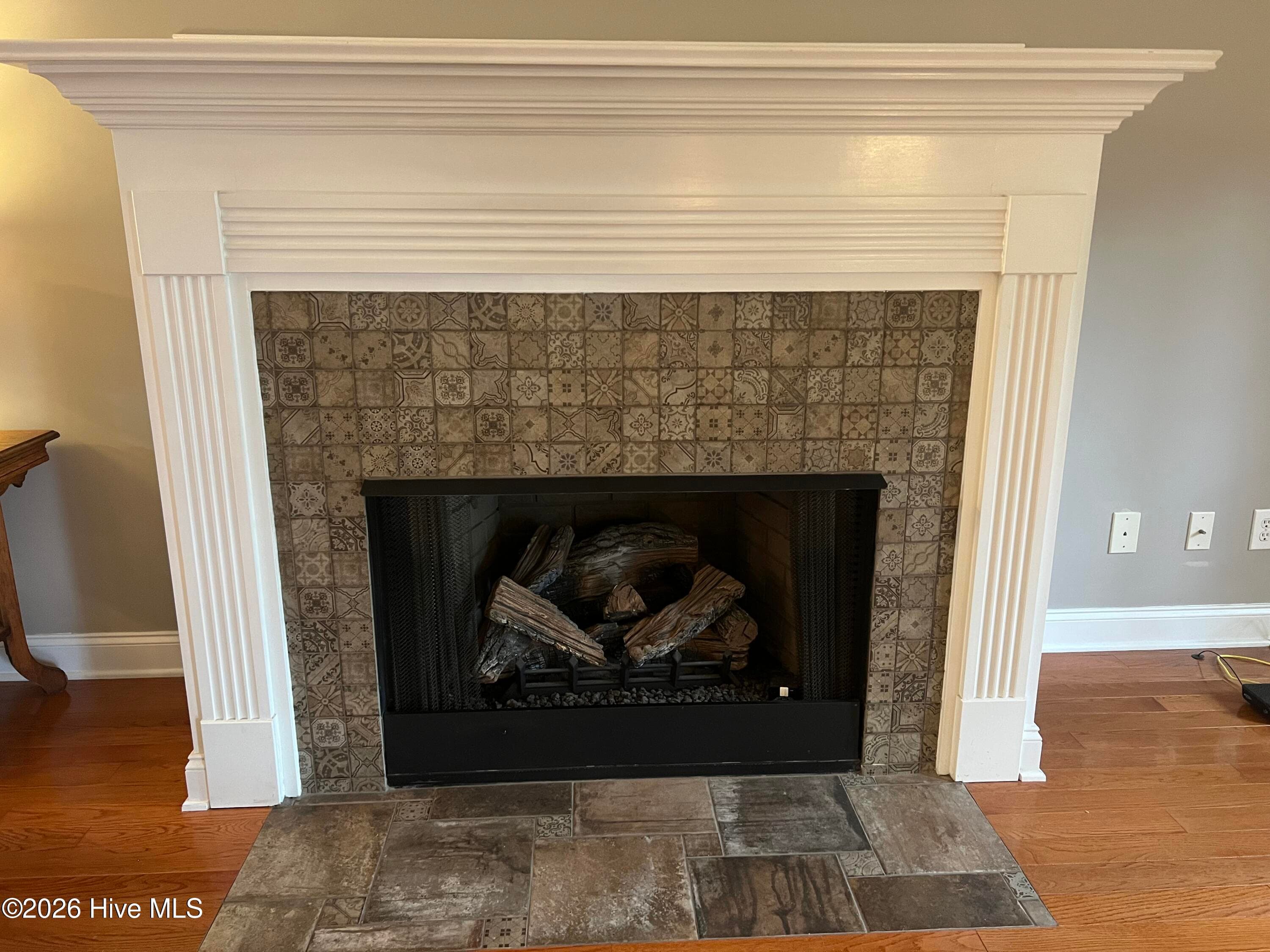 Single Family Residence at 30180 E Lake Road, Wagram, NC 28396, photo 2 of 6