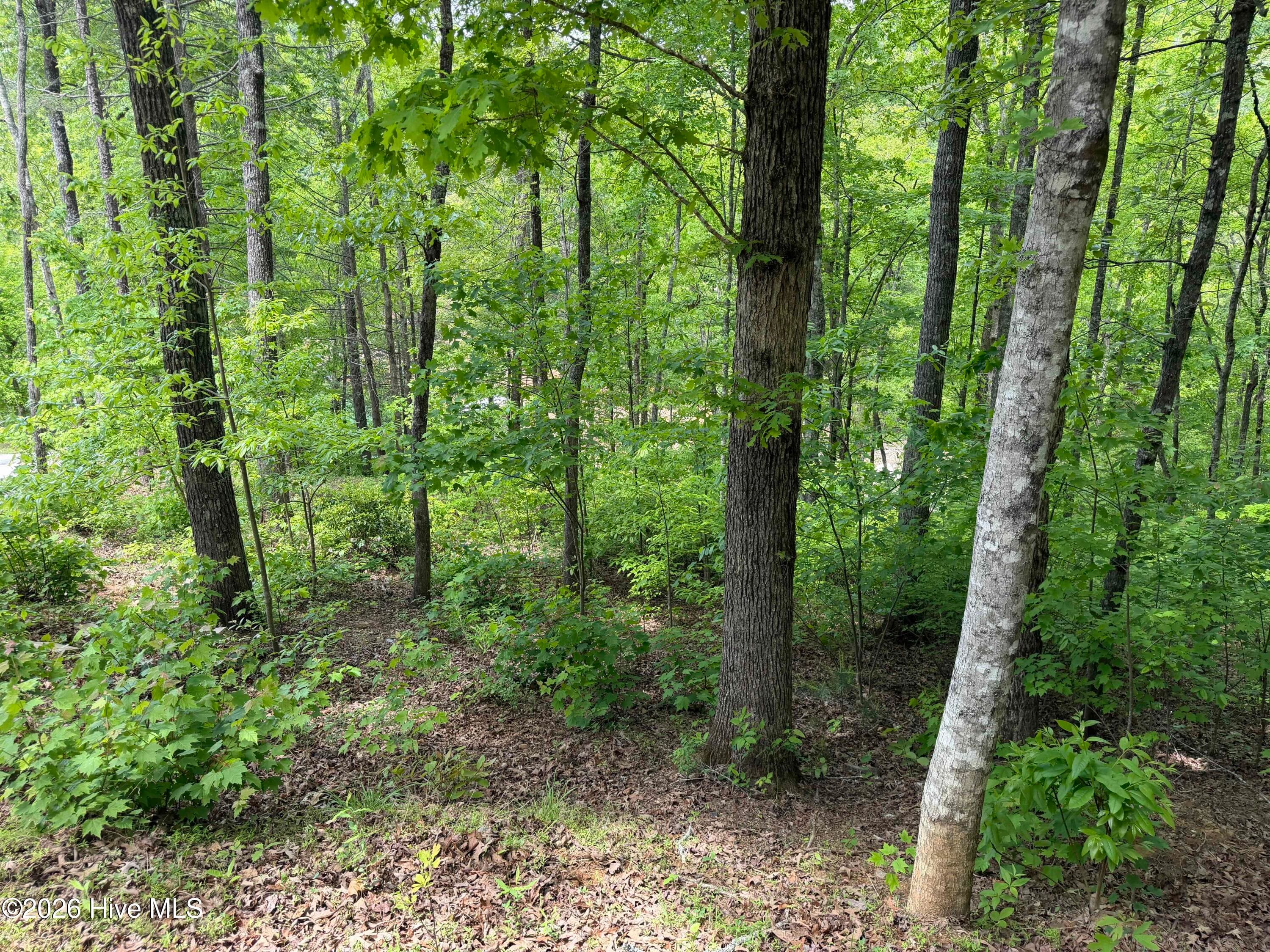 Residential Lot at Multi Lots Black Fox Drive, Murphy, NC 28906, photo 11 of 15