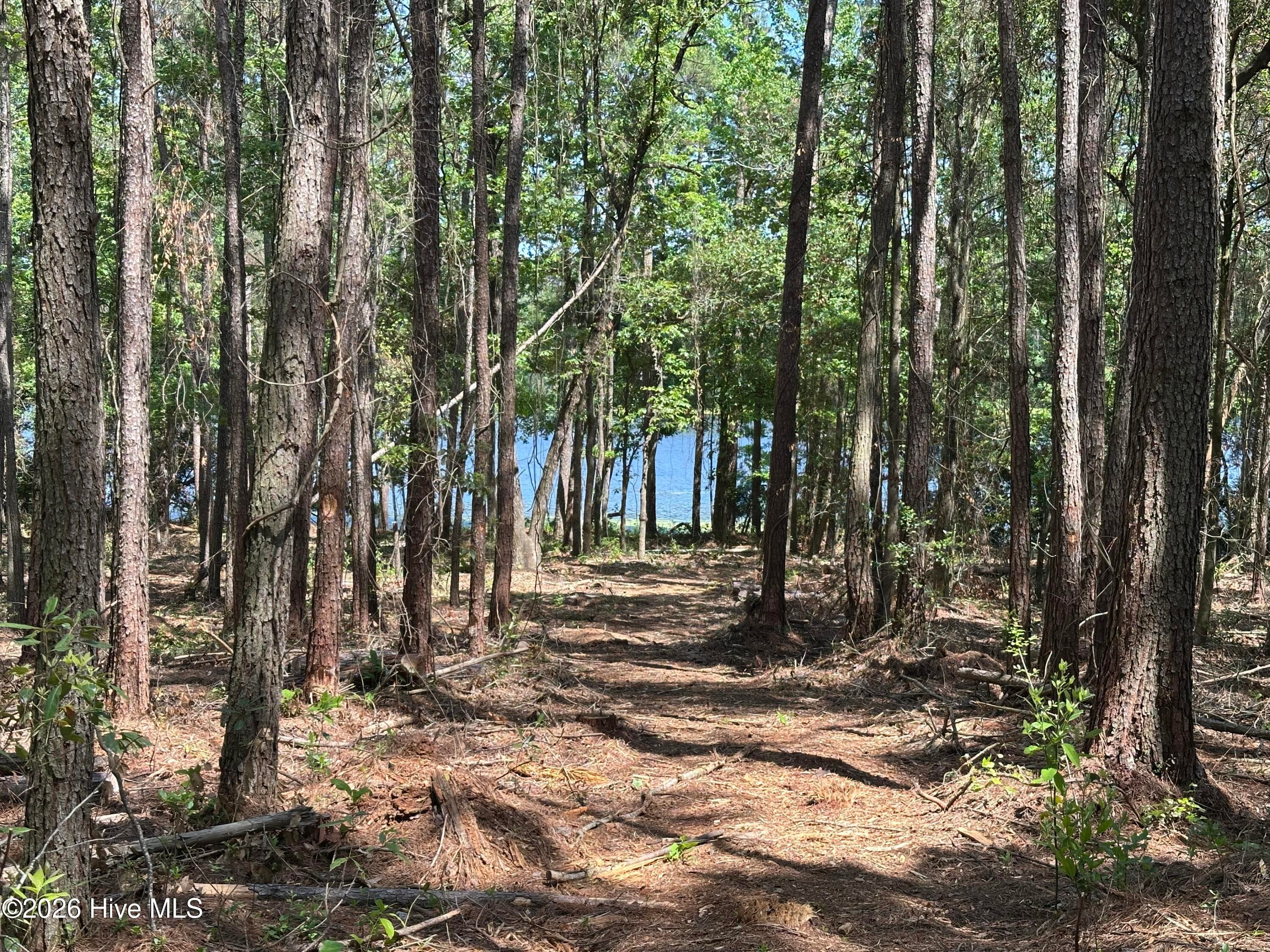 Residential Lot at 28 28 Hillside Lane, Clinton, NC 28328, photo 4 of 5