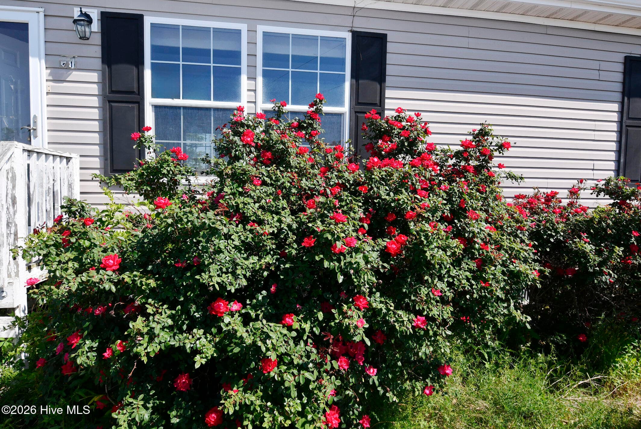 Roses in Front - 21 Grape Vine Landing, Columbia, NC 27925