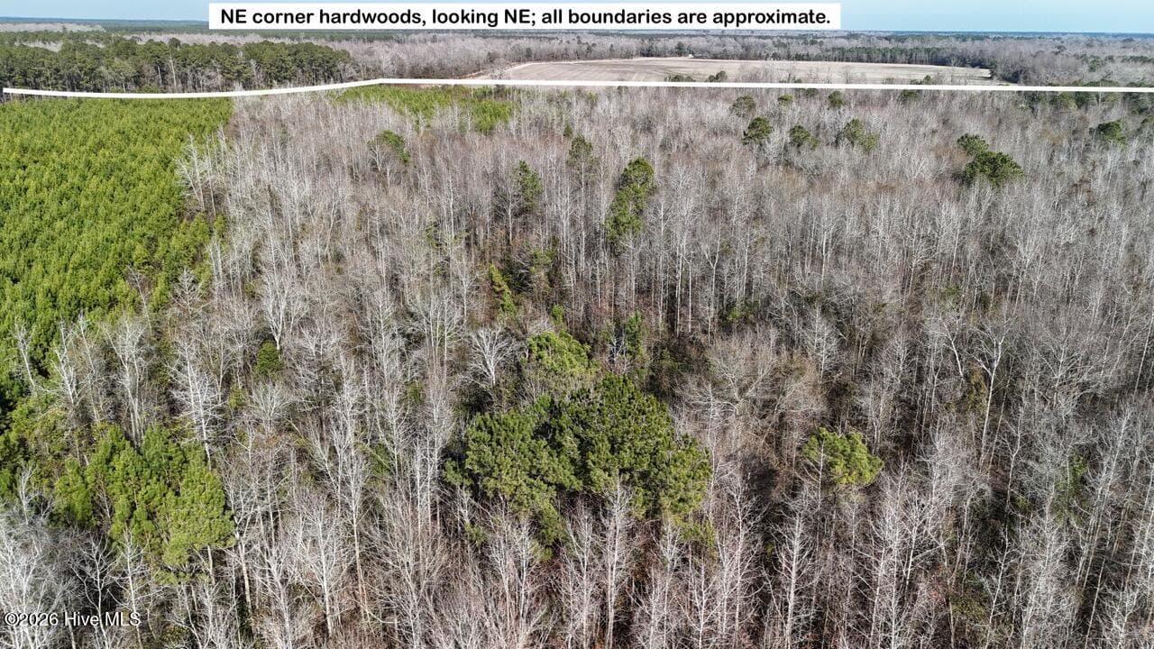 0 White Oak River Road, Maysville, NC 28555