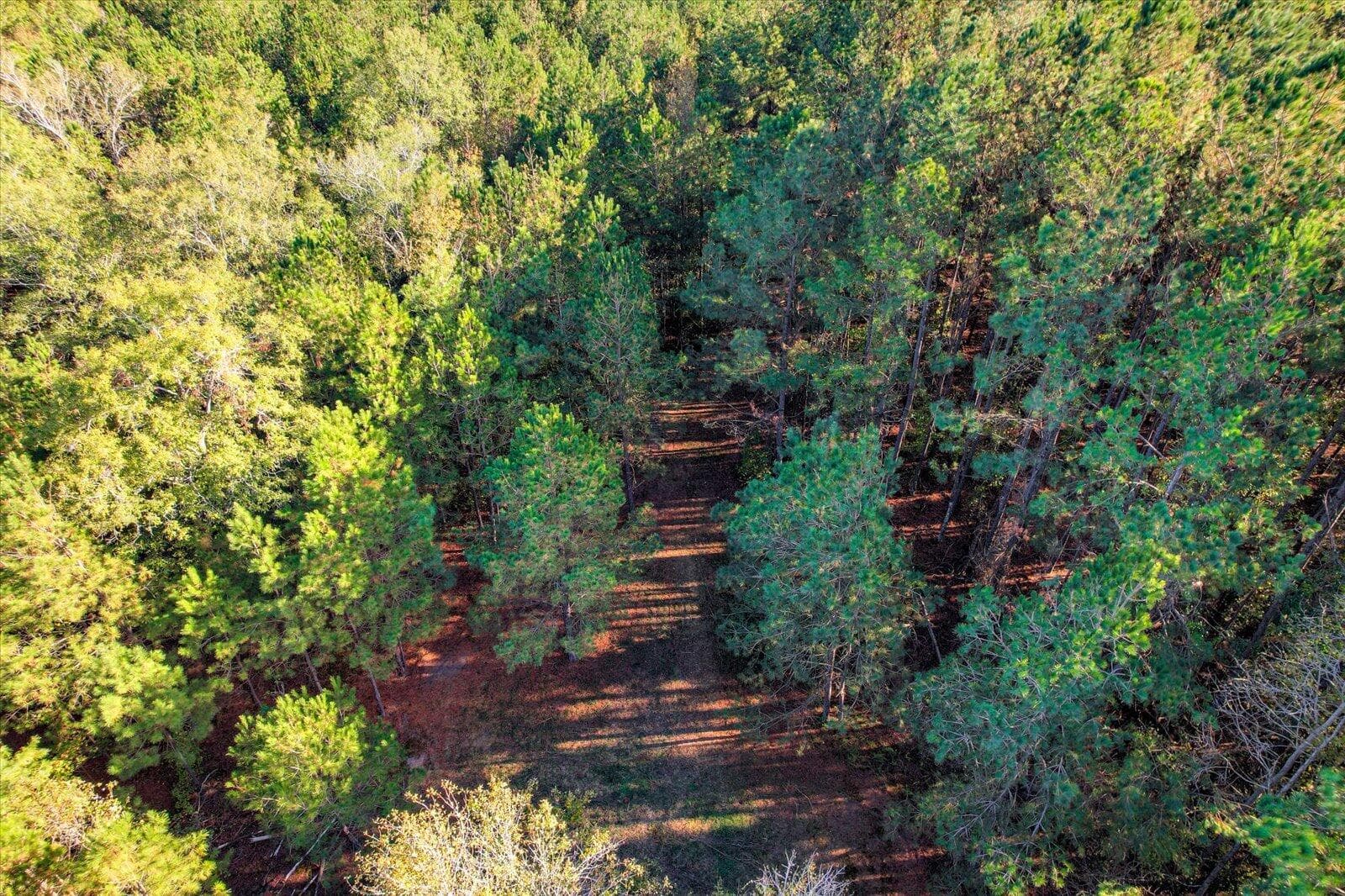 Undeveloped at Tbd2 Sc-23, Edgefield, SC 29824, photo 10 of 41
