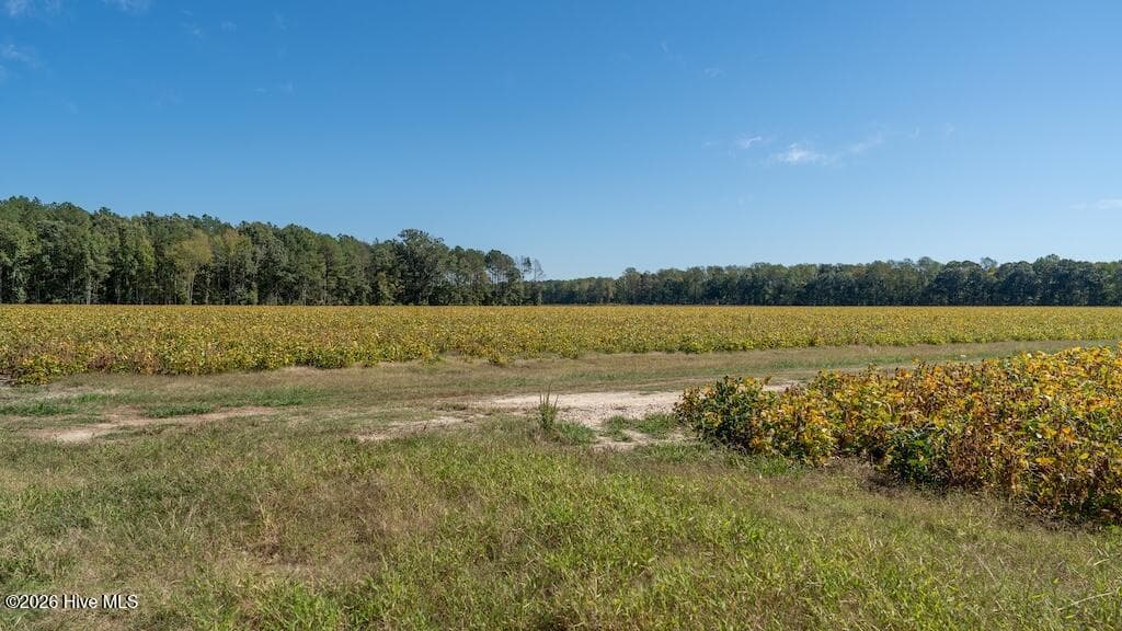 Mixed Use at 0 Spring Hill Road, Scotland Neck, NC 27874, photo 88 of 93
