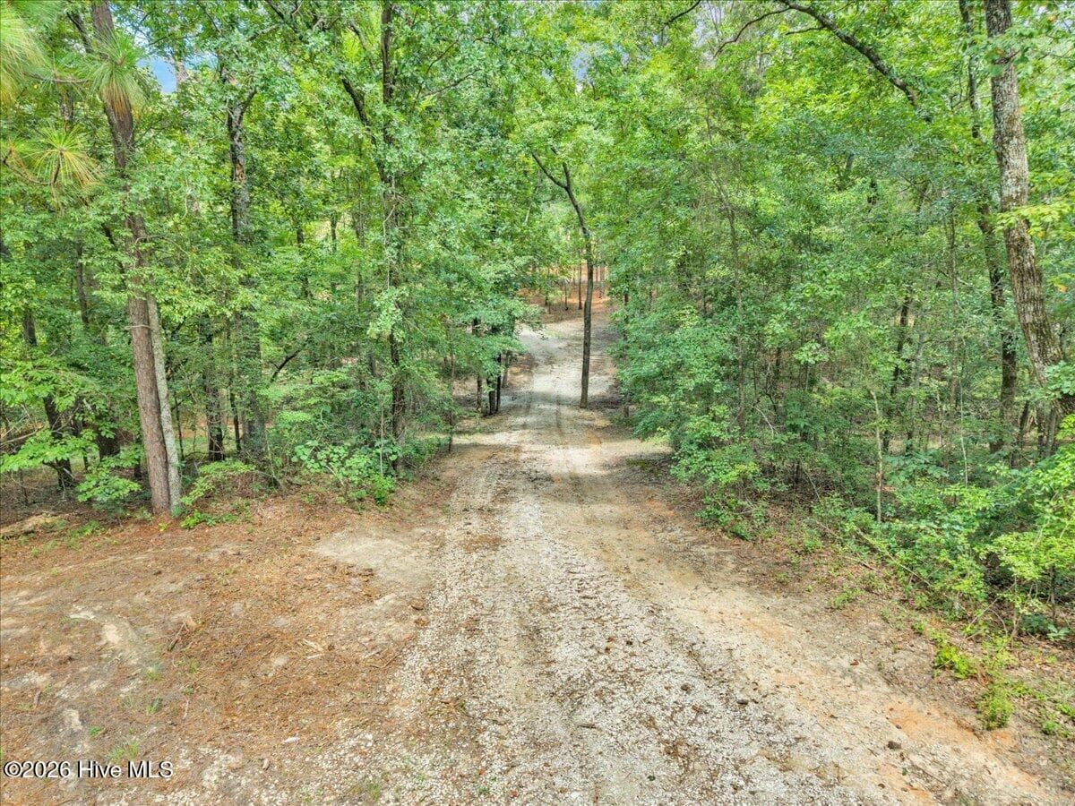 Wooded at 4359 Storm Branch Road, Aiken, SC 29803, photo 4 of 57