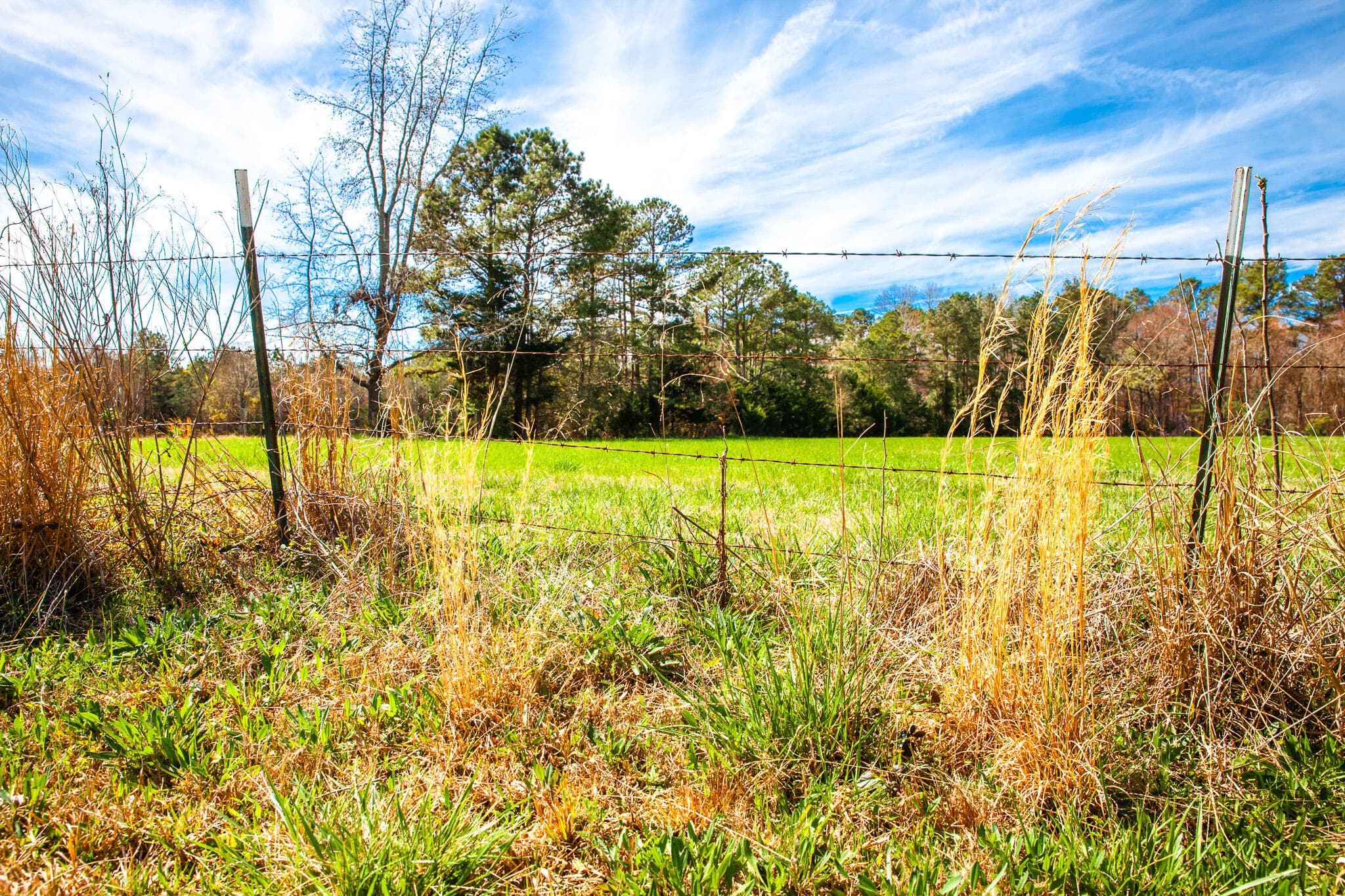Undeveloped at 3520 3 Mistletoe Rd Road, Appling, GA 30802, photo 4 of 12