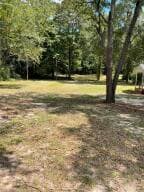 Lot A Old Whiskey Road, New Ellenton, SC 29809