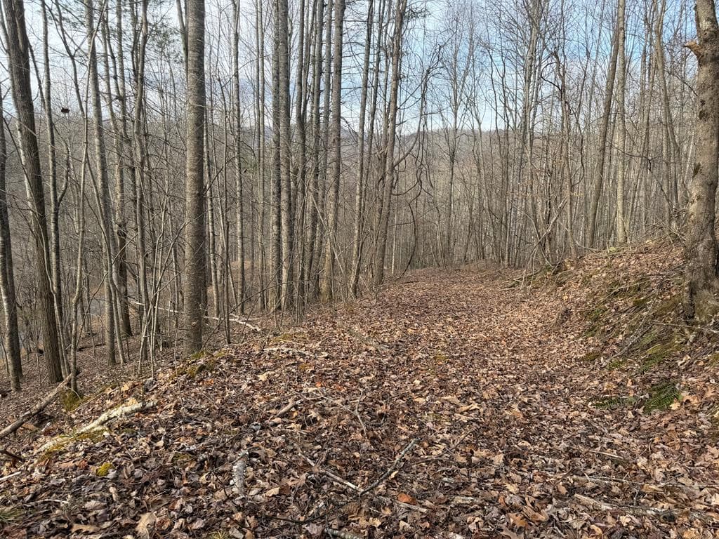 491 Otter Mountain Road, Topton, NC 28781