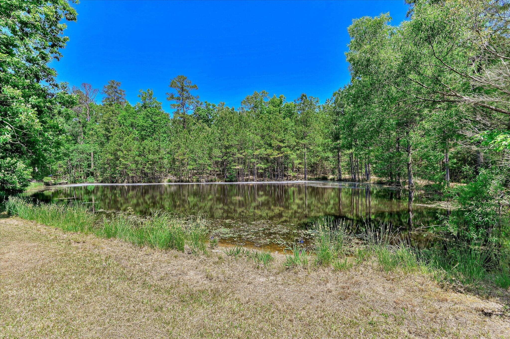 Single Family Residence at 1154 Water Oak Drive, Lincolnton, GA 30817, photo 2 of 63