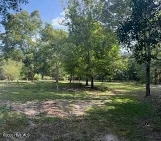 Residential Lot at 855 36 Dixie Drive, Harlem, GA 30814, photo 6 of 12
