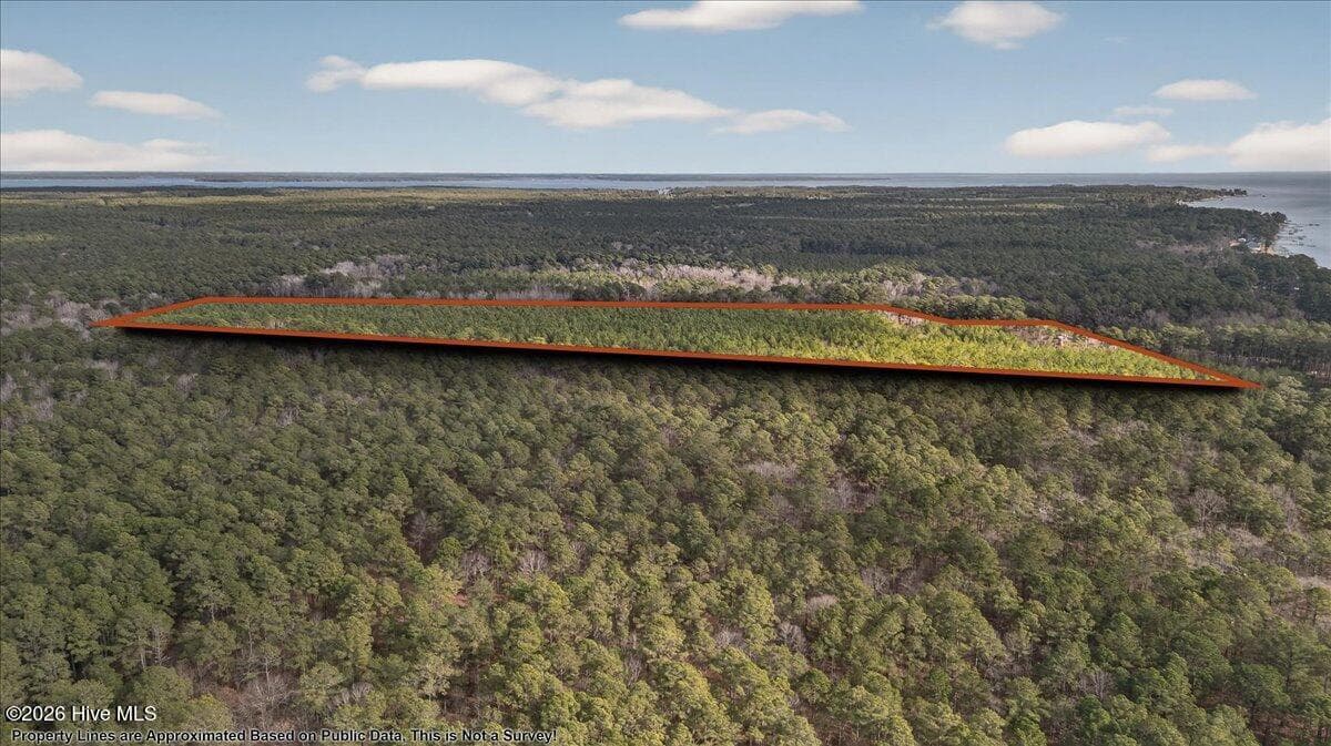 Wooded at 2162 Old Pamlico Beach Road W, Belhaven, NC 27810, photo 11 of 25