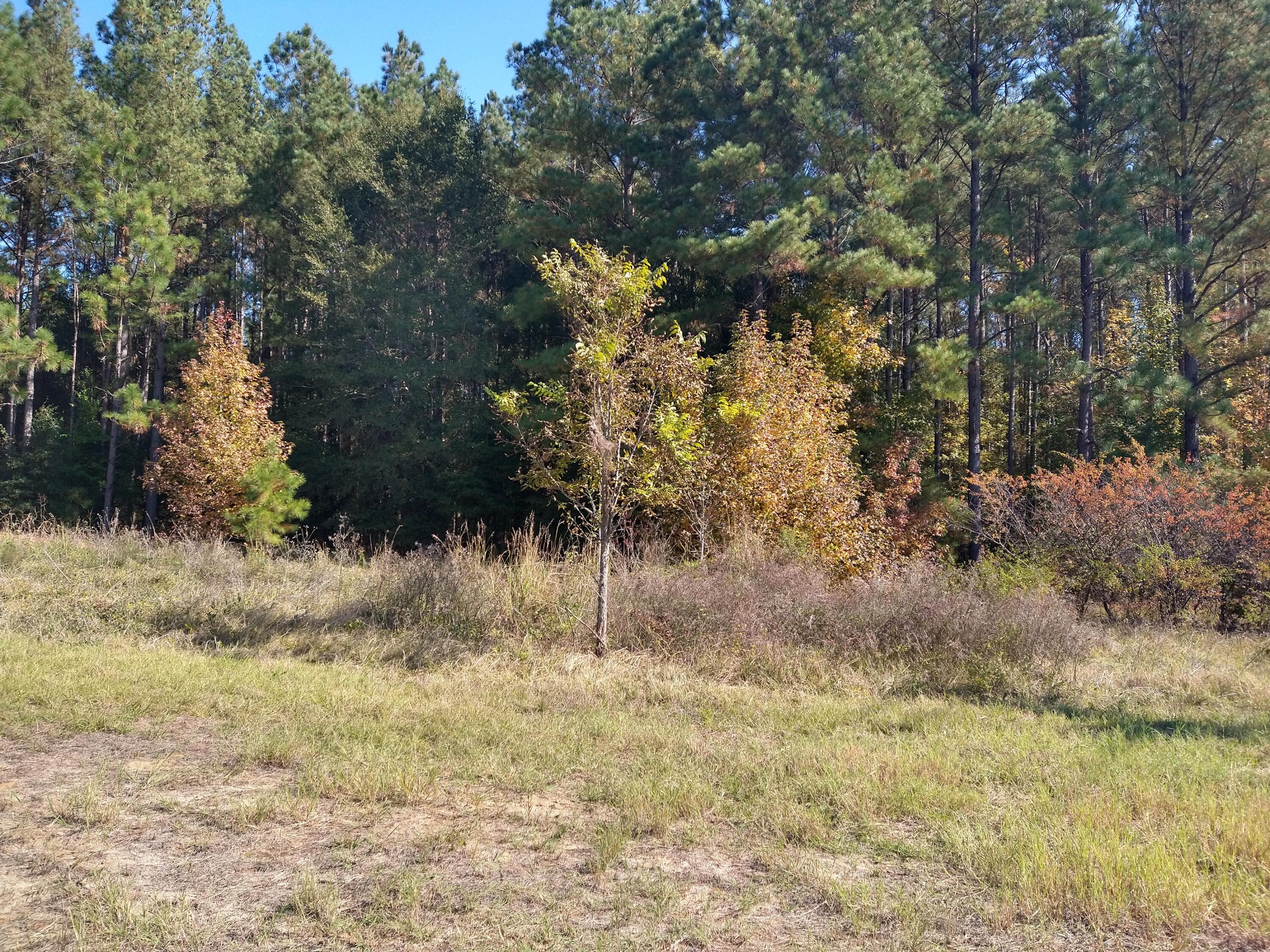 Unimproved Land at 0 Gresham Road, Keysville, GA 30816, photo 6 of 6