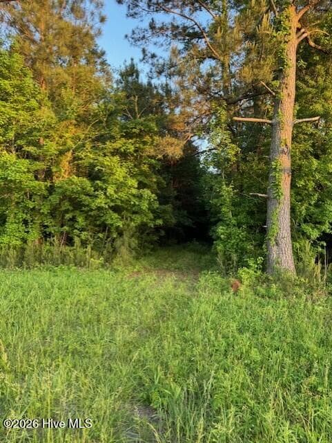 Unimproved Land at 53 Nc Hwy 53, Burgaw, NC 28425, photo 7 of 11