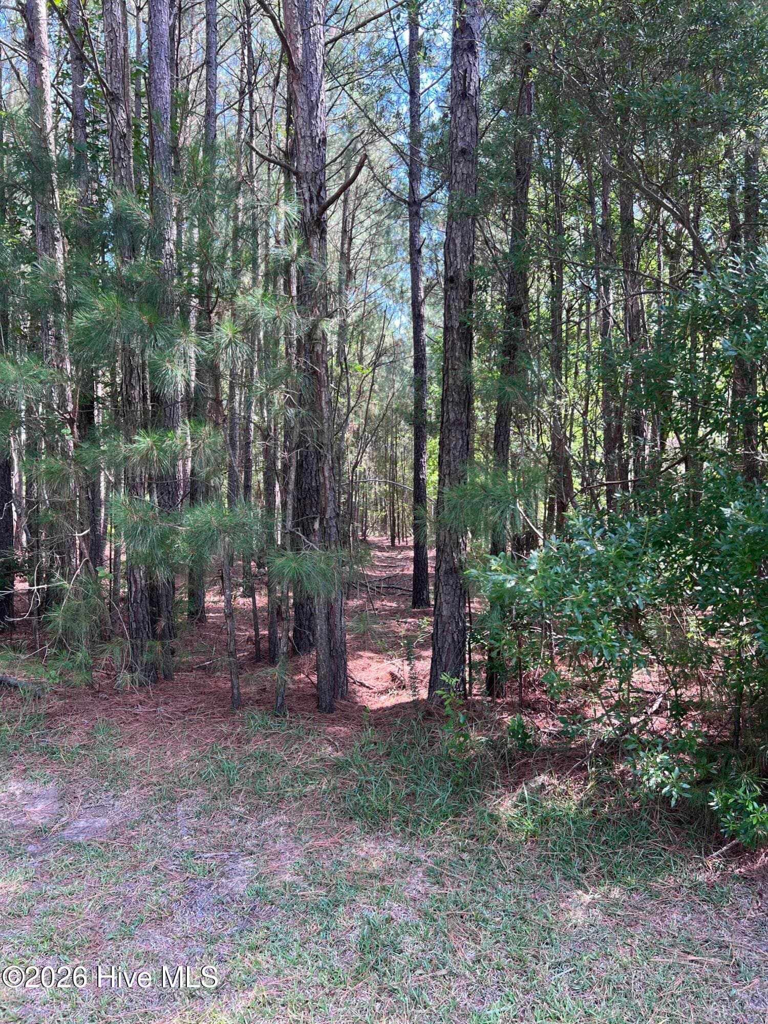 Residential Lot at 42 Windy Point, Belhaven, NC 27810, photo 5 of 6