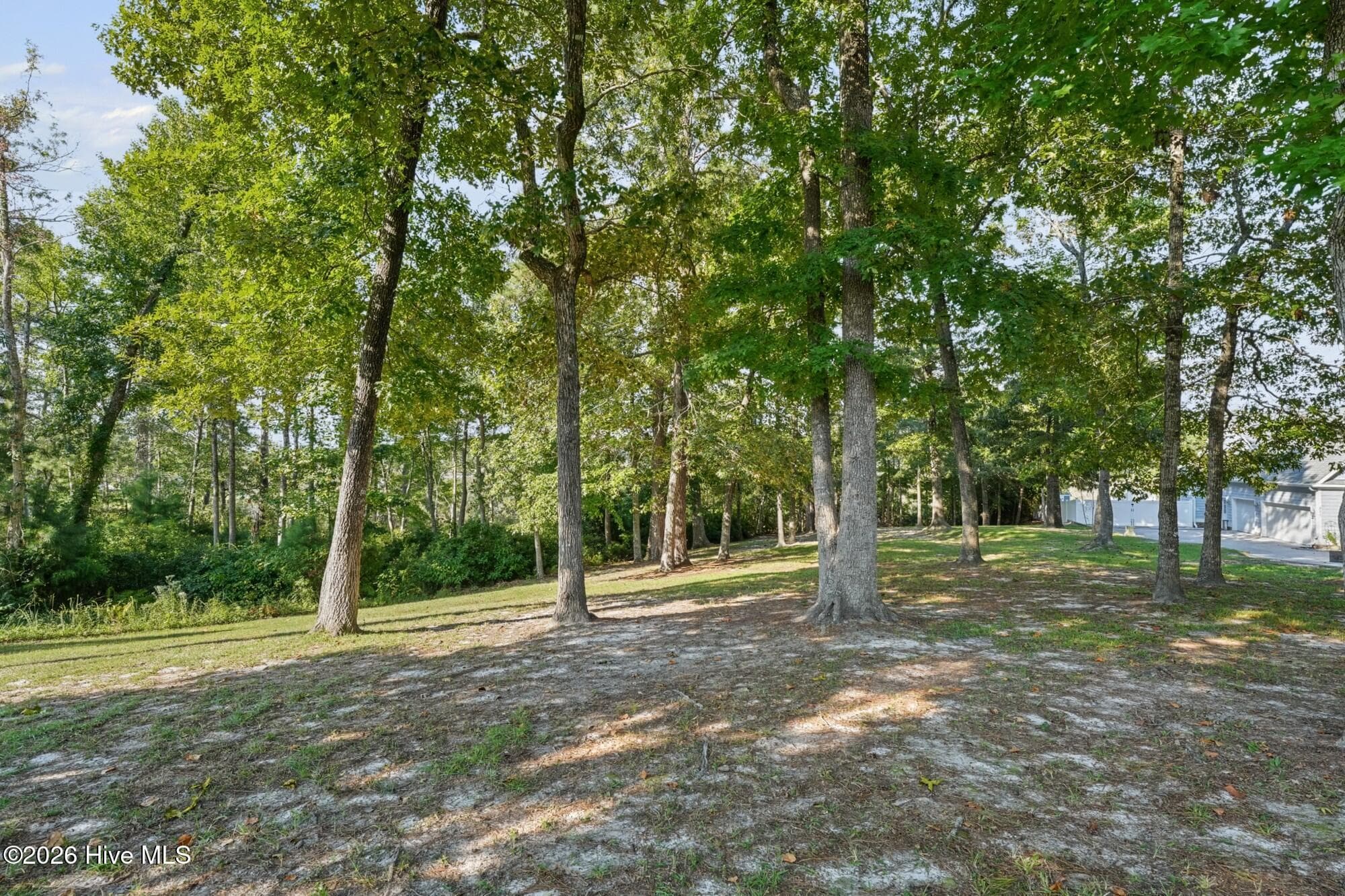 Residential Lot at 209 Creek View Circle, Sneads Ferry, NC 28460, photo 16 of 30