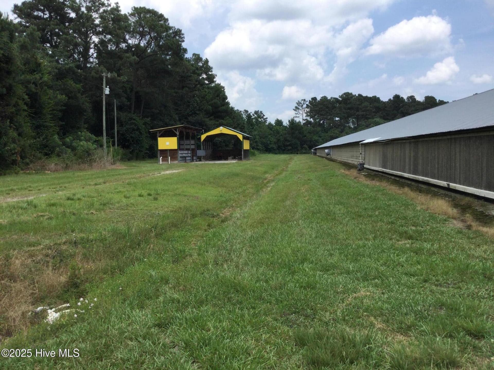 Agriculture at 1779 Burney Road, Bladenboro, NC 28320, photo 3 of 7