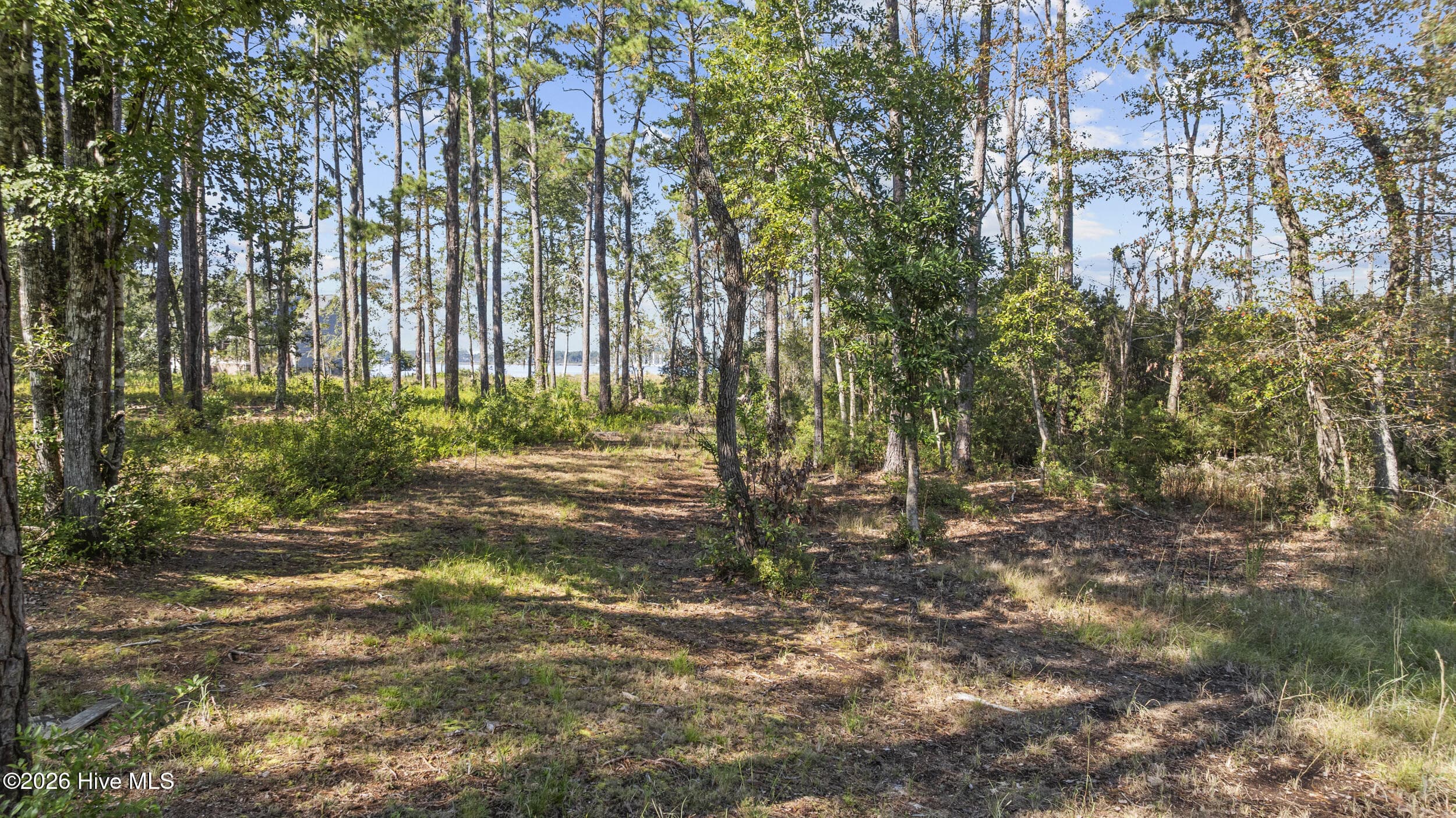Back - 5430 Creek Pointe Road, New Bern, NC 28560