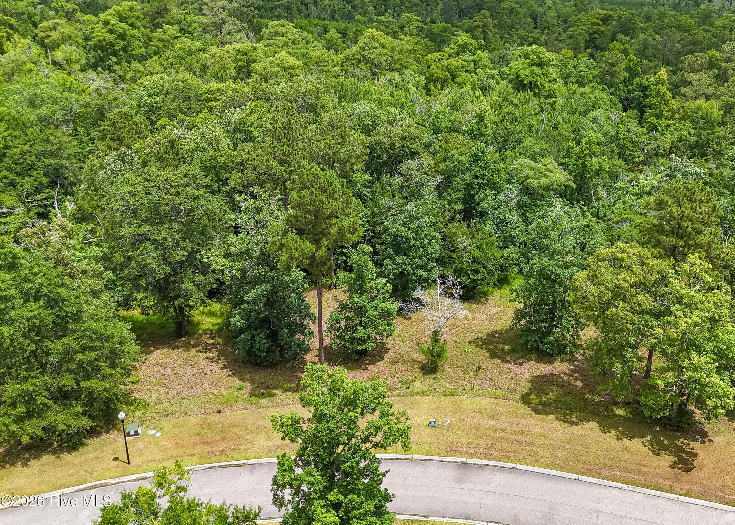 Residential Lot at 535 N Wild Rice Drive SW, Supply, NC 28462, photo 3 of 12