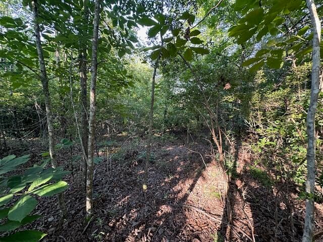 Undeveloped at 2576 Jessie James Pond Road, Wrens, GA 30833, photo 45 of 56