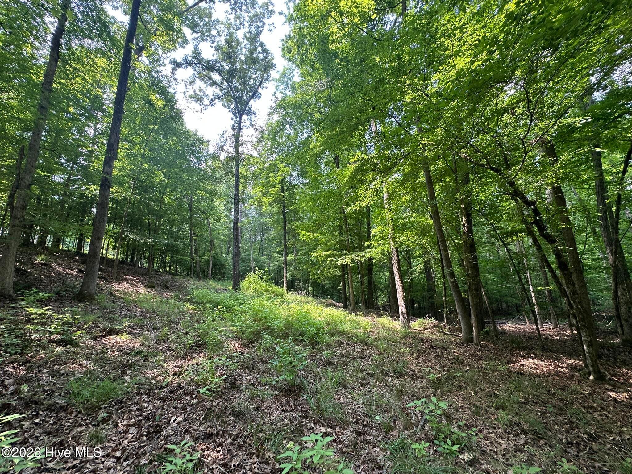 Residential Lot at Lot 17 Lakeshore Estates Drive, Lincolnton, GA 30817, photo 9 of 22