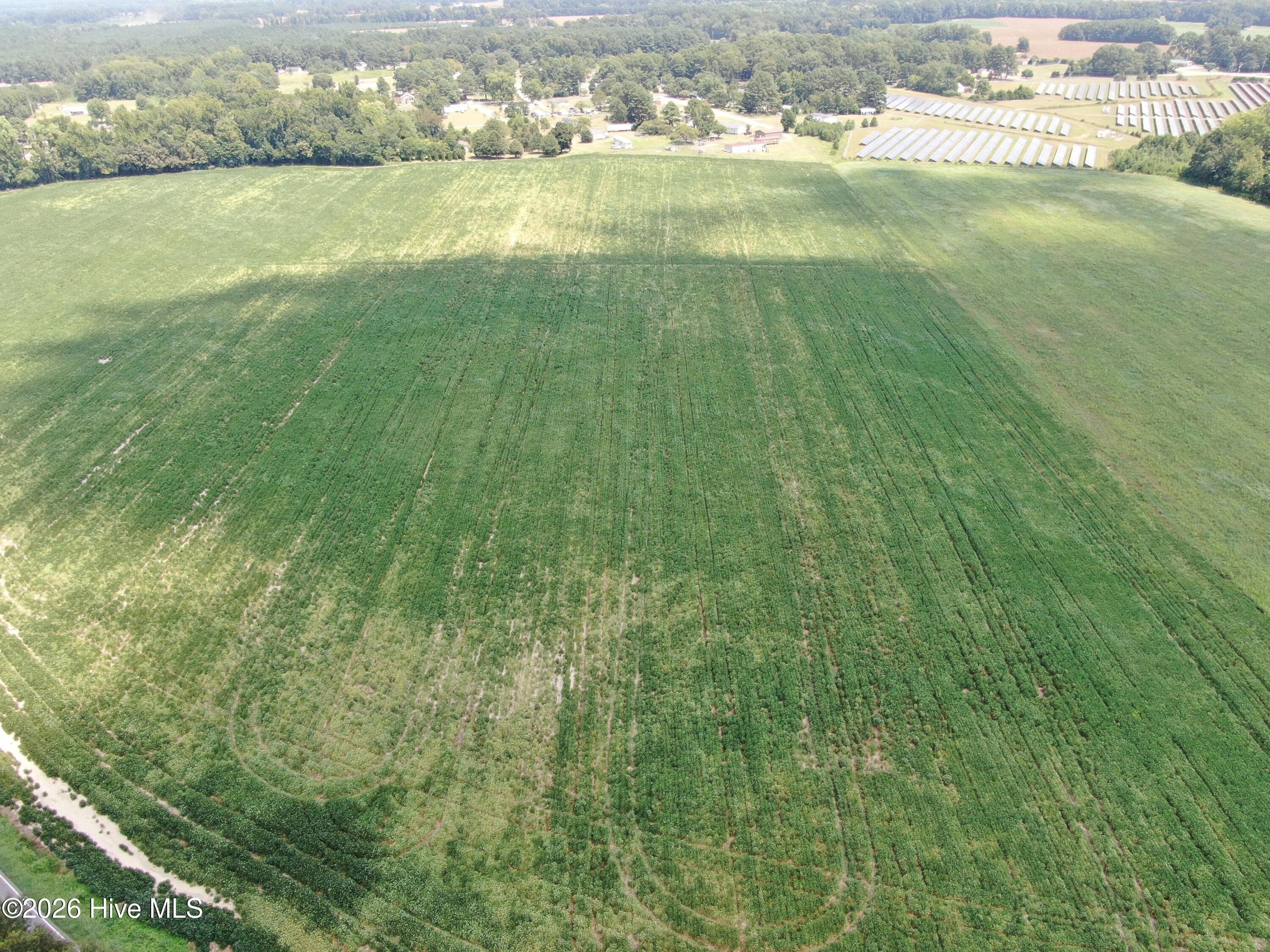 Tbd Chicken Road, Fairmont, NC 28340