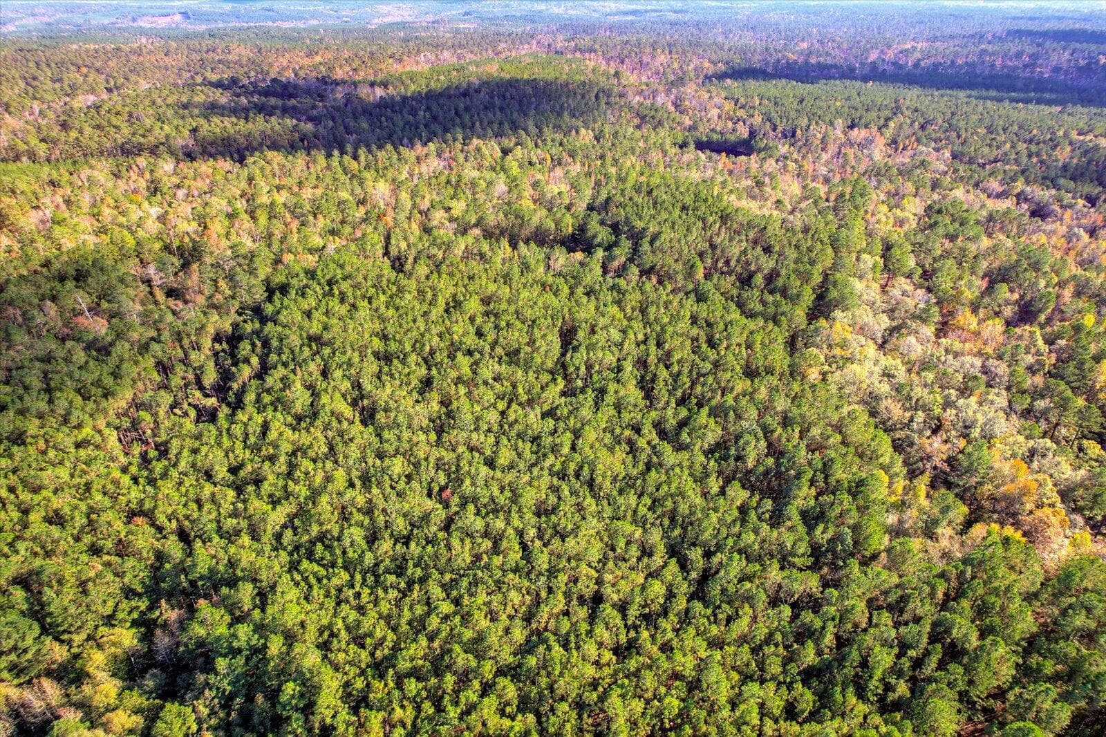 Undeveloped at Tbd2 Sc-23, Edgefield, SC 29824, photo 20 of 41