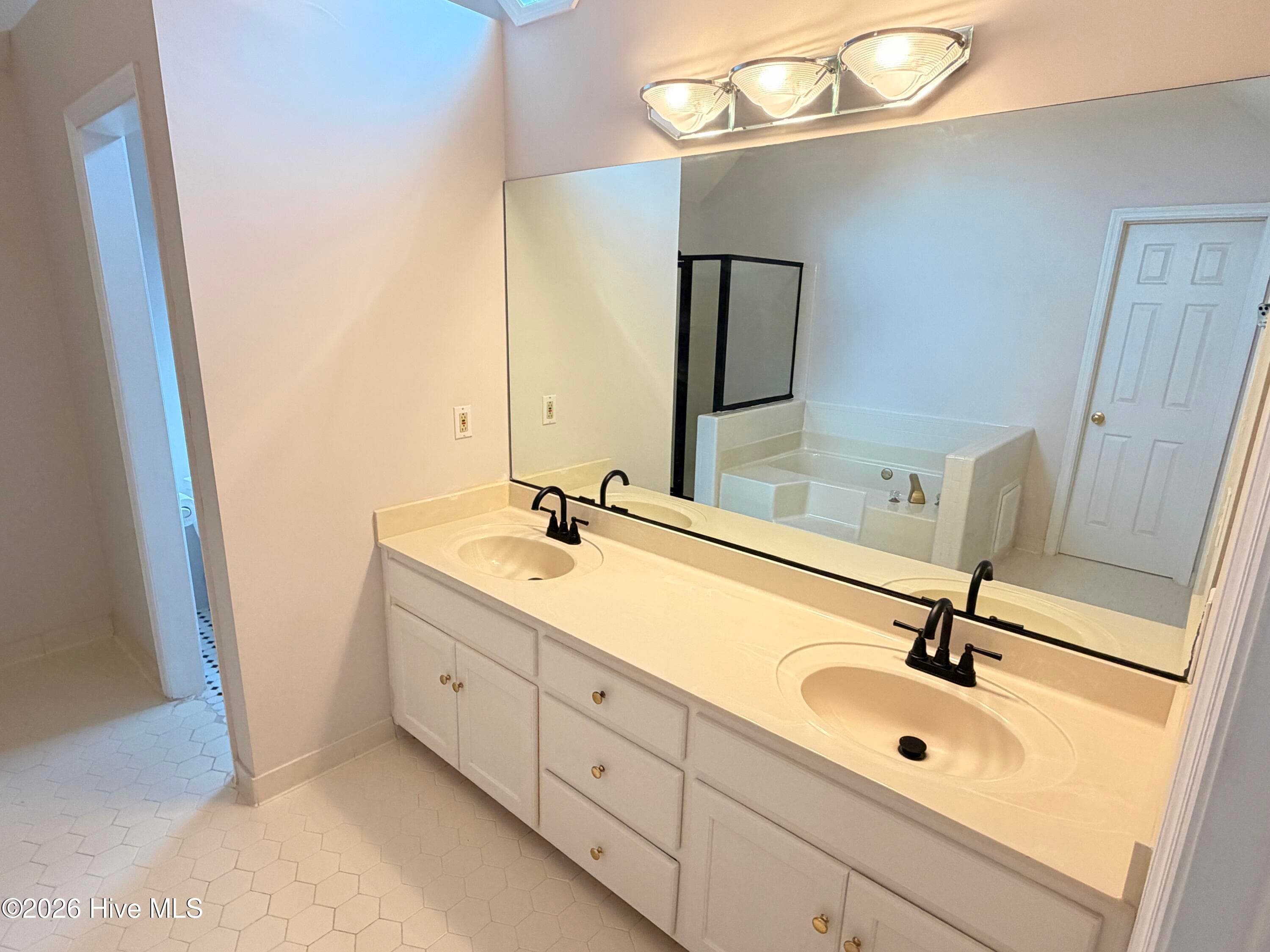 Dual sinks. New lights and faucets - 4147 Knollcrest Circle N, Martinez, GA 30907