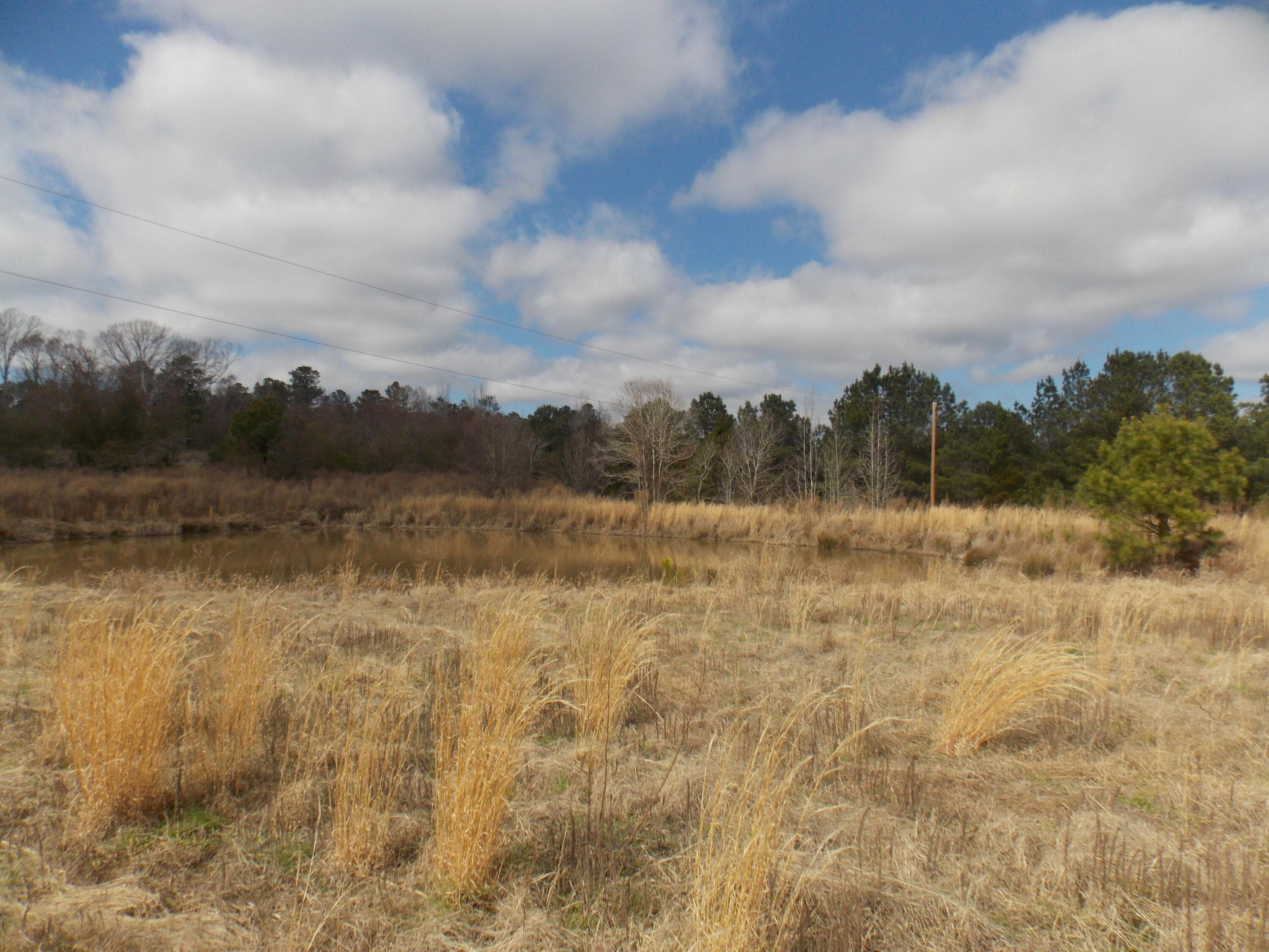 Agriculture at 4232 Double Branches Road, Lincolnton, GA 30817, photo 5 of 16