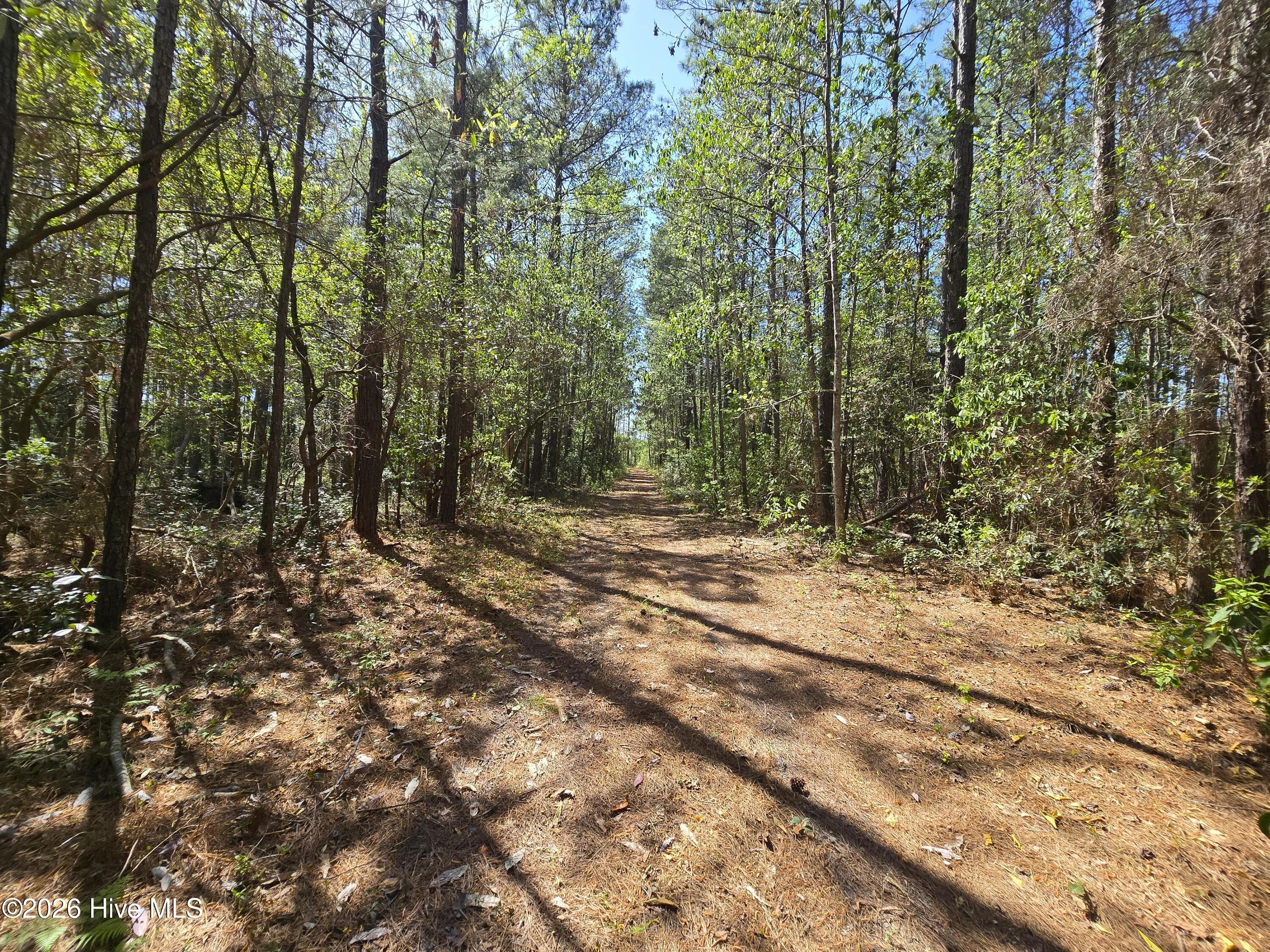 Residential Lot at Lot A-21 A-21 Renee Drive, Hampstead, NC 28443, photo 6 of 6