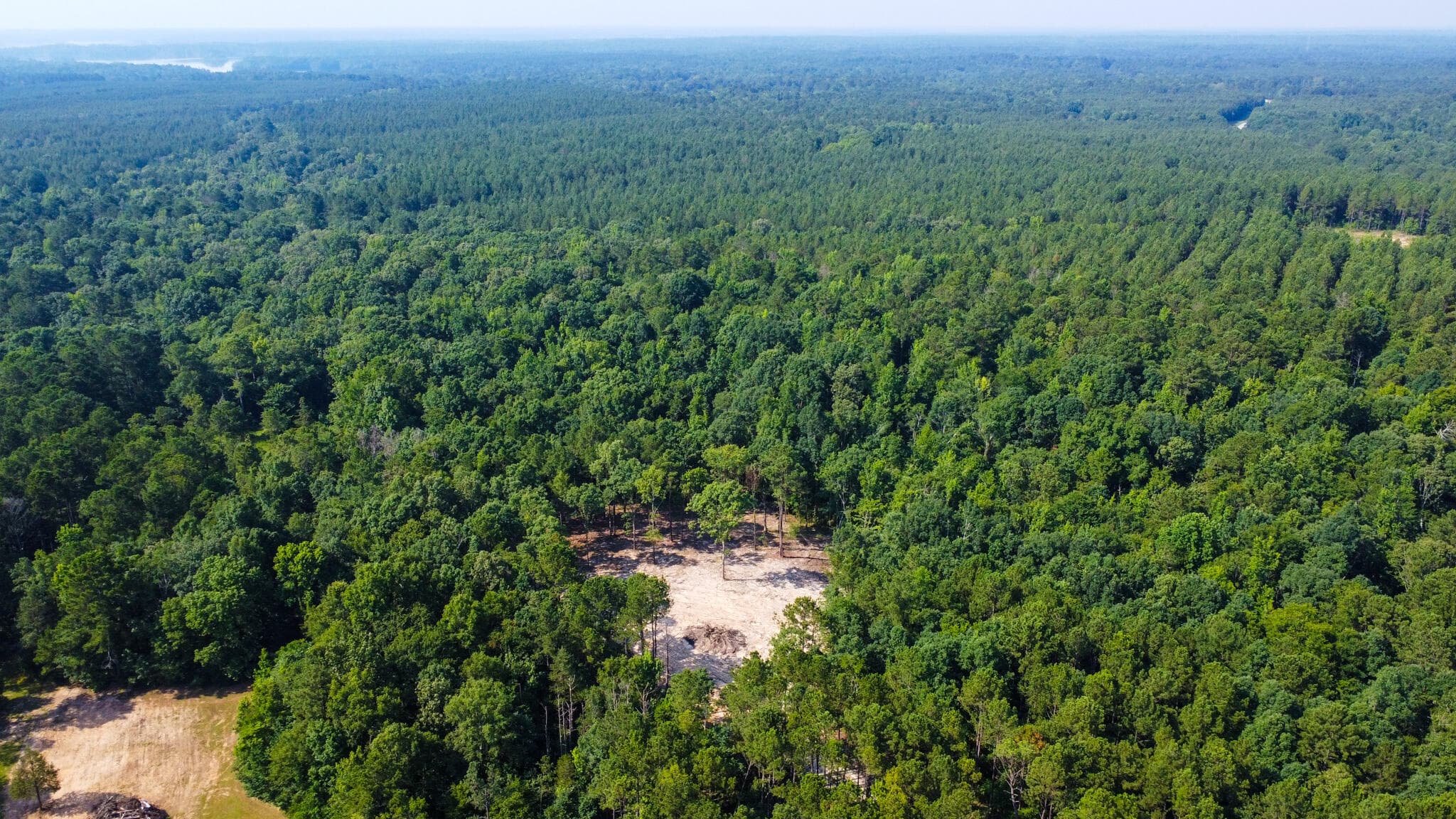 Undeveloped at 0 Backway Road, Lincolnton, GA 30817, photo 13 of 48