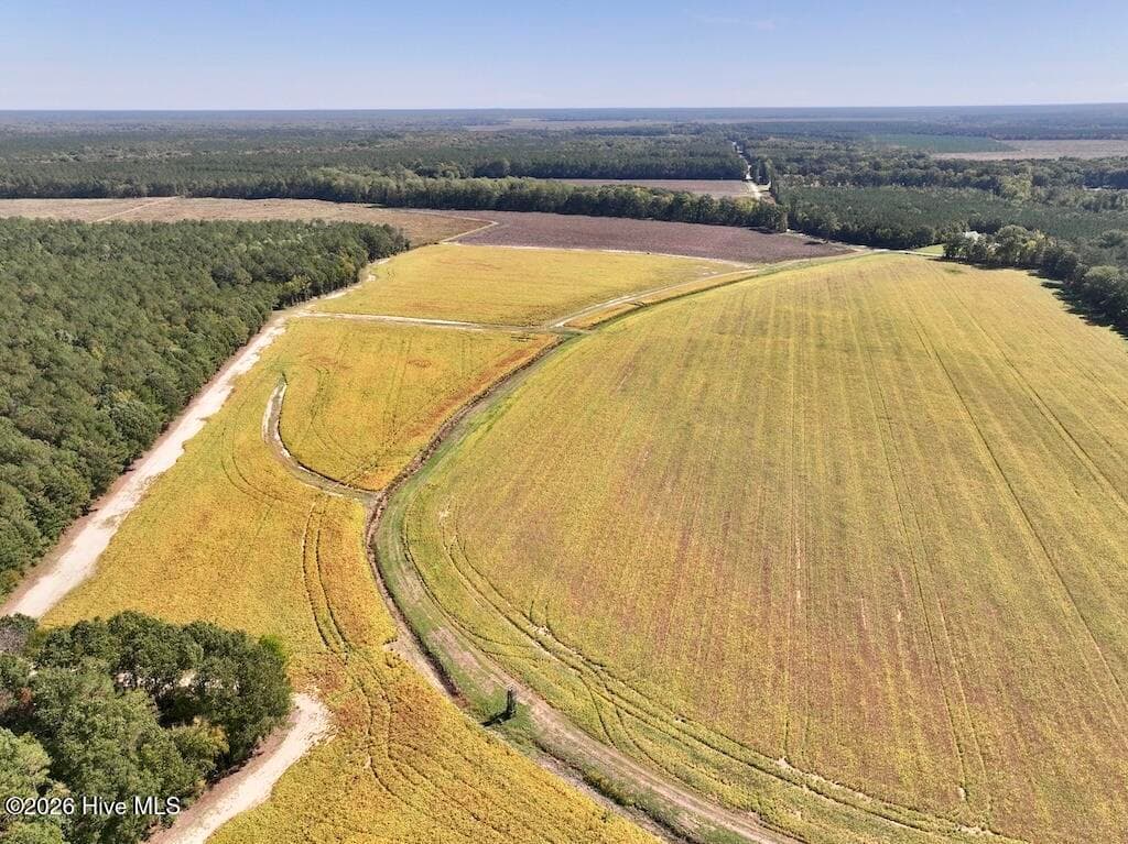 Mixed Use at 0 Spring Hill Road, Scotland Neck, NC 27874, photo 54 of 93
