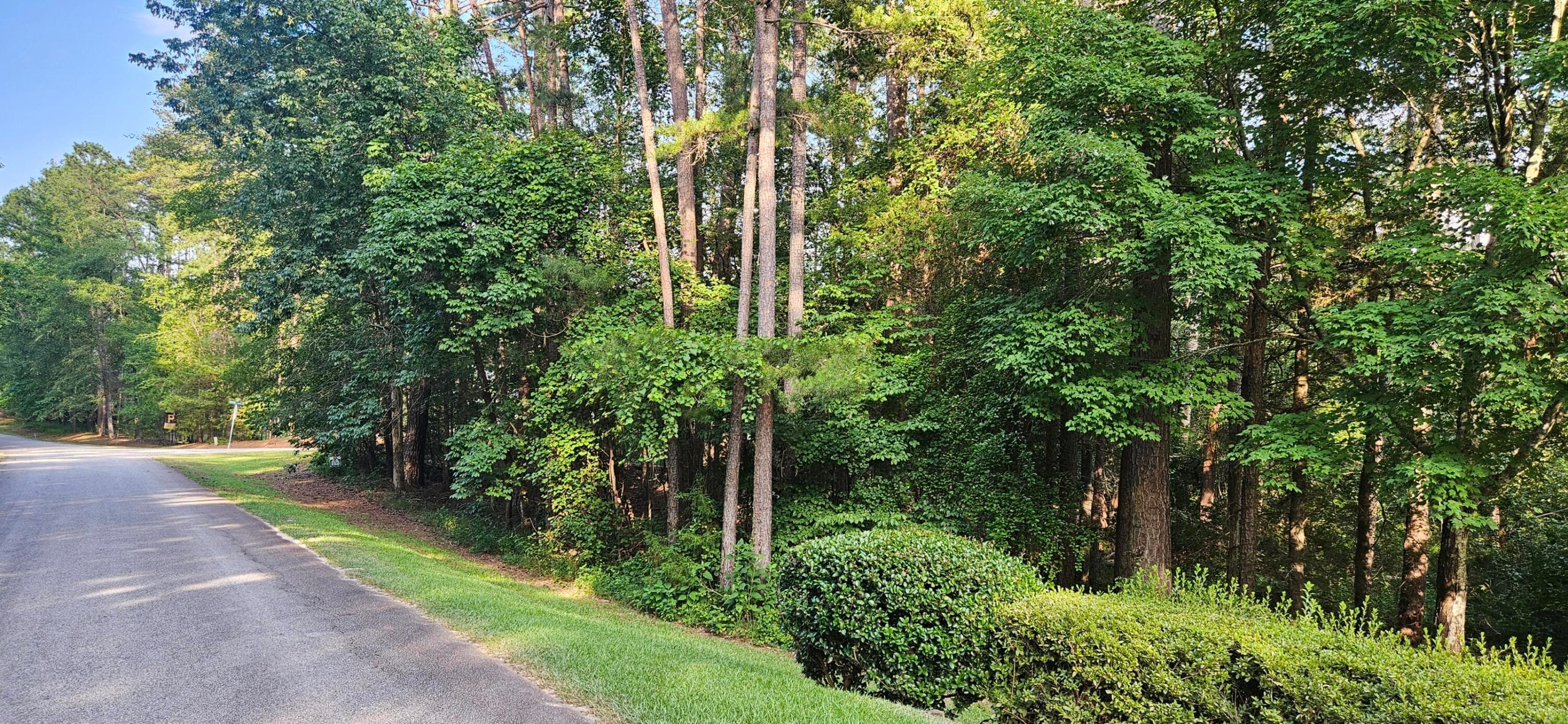 Residential Lot at Bl 6 Lot 9 9 Davis Drive, McCormick, SC 29835, photo 3 of 4