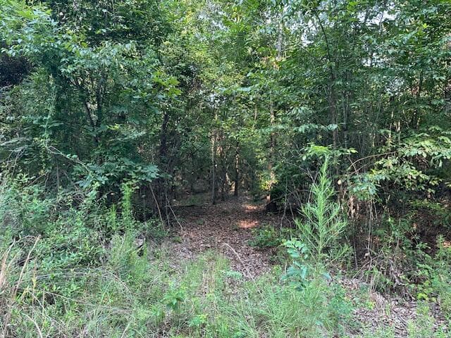 Undeveloped at 2576 Jessie James Pond Road, Wrens, GA 30833, photo 35 of 56