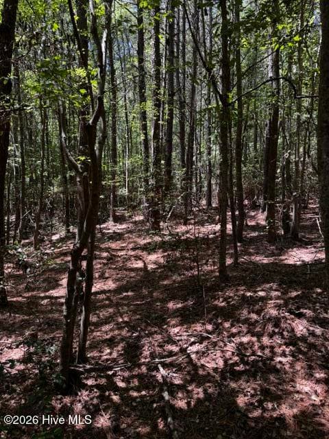 Undeveloped at Lot 1 Dan Road, Robbins, NC 27325, photo 19 of 22