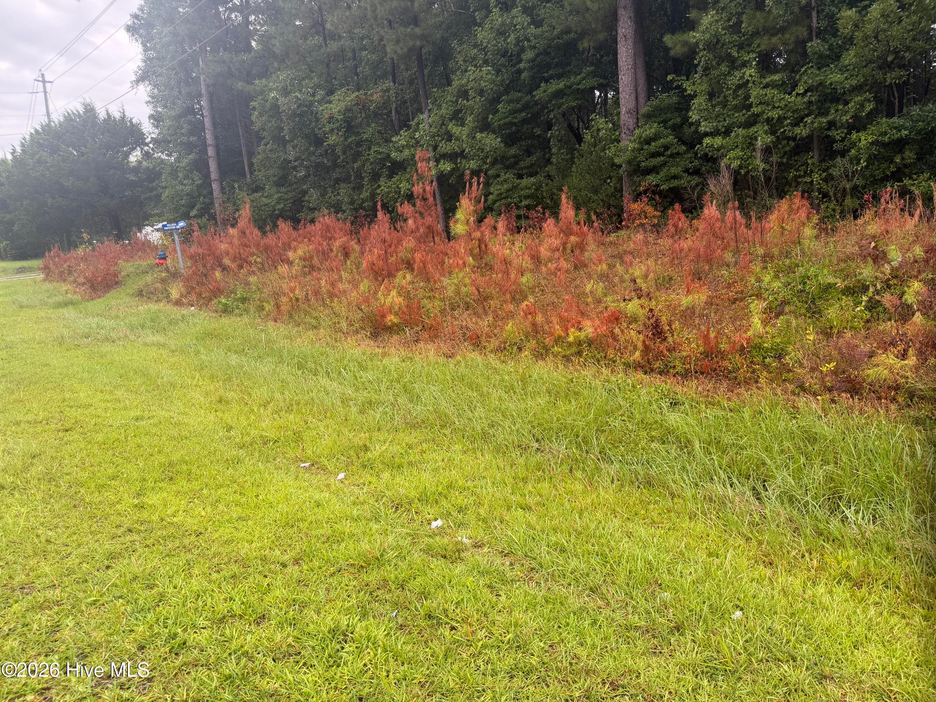 Wooded at 000 Richlands Highway, Jacksonville, NC 28540, photo 4 of 8