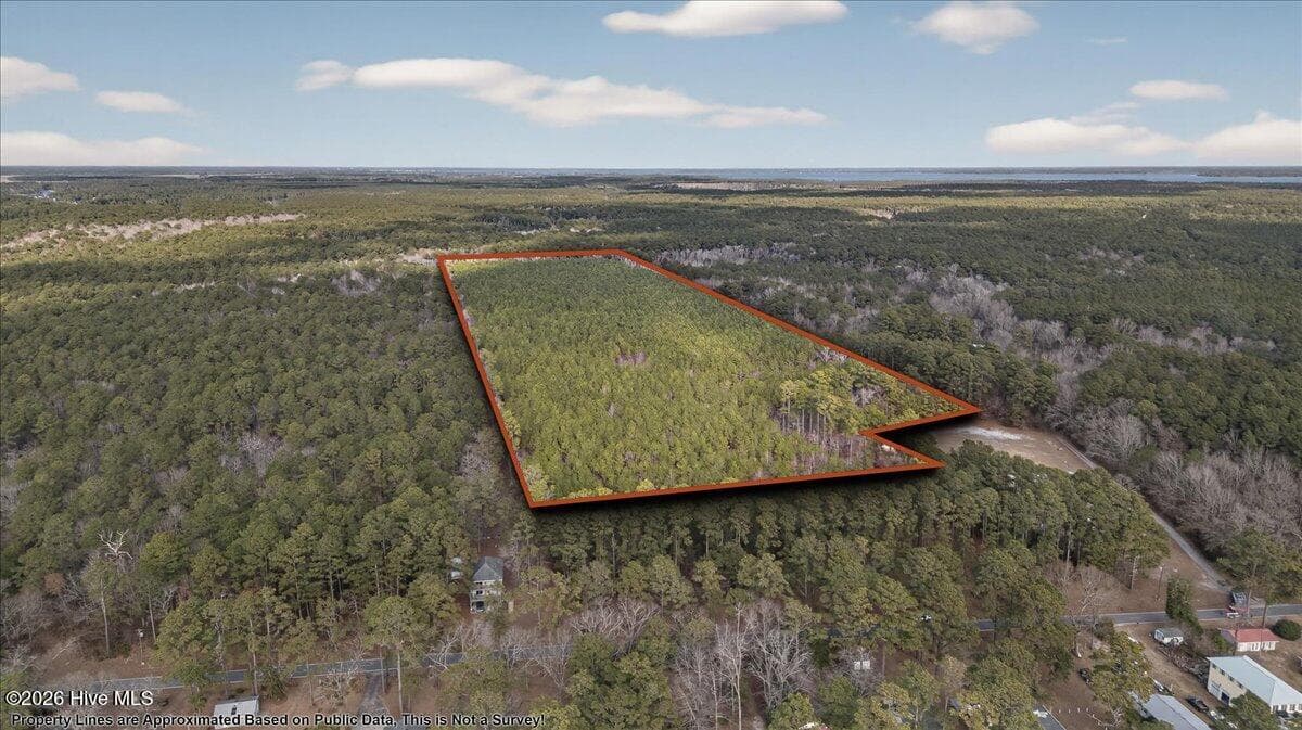 Wooded at 2162 Old Pamlico Beach Road W, Belhaven, NC 27810, photo 9 of 25