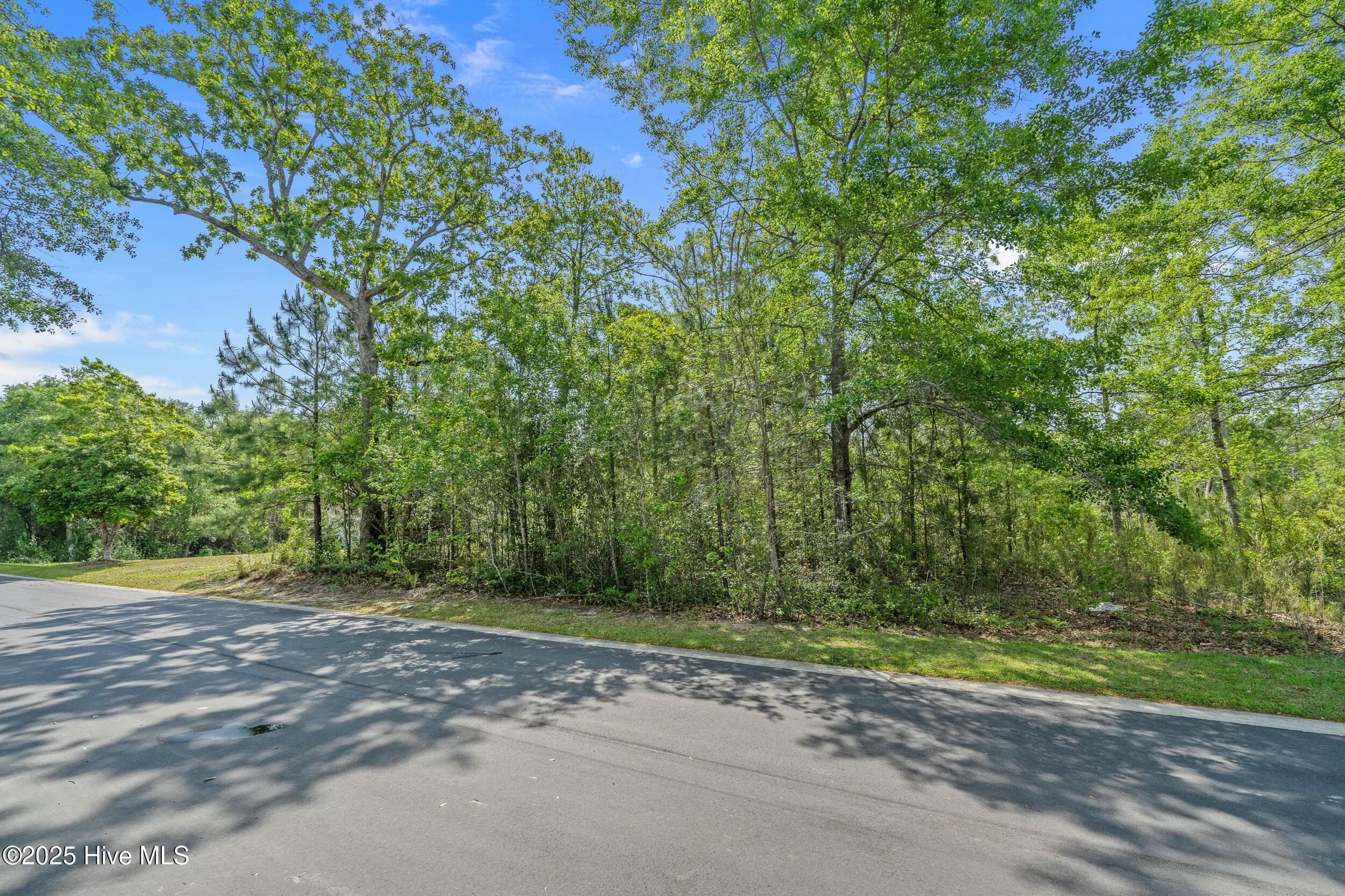 3088 130 Brackenbury Street SW, Shallotte, NC 28470